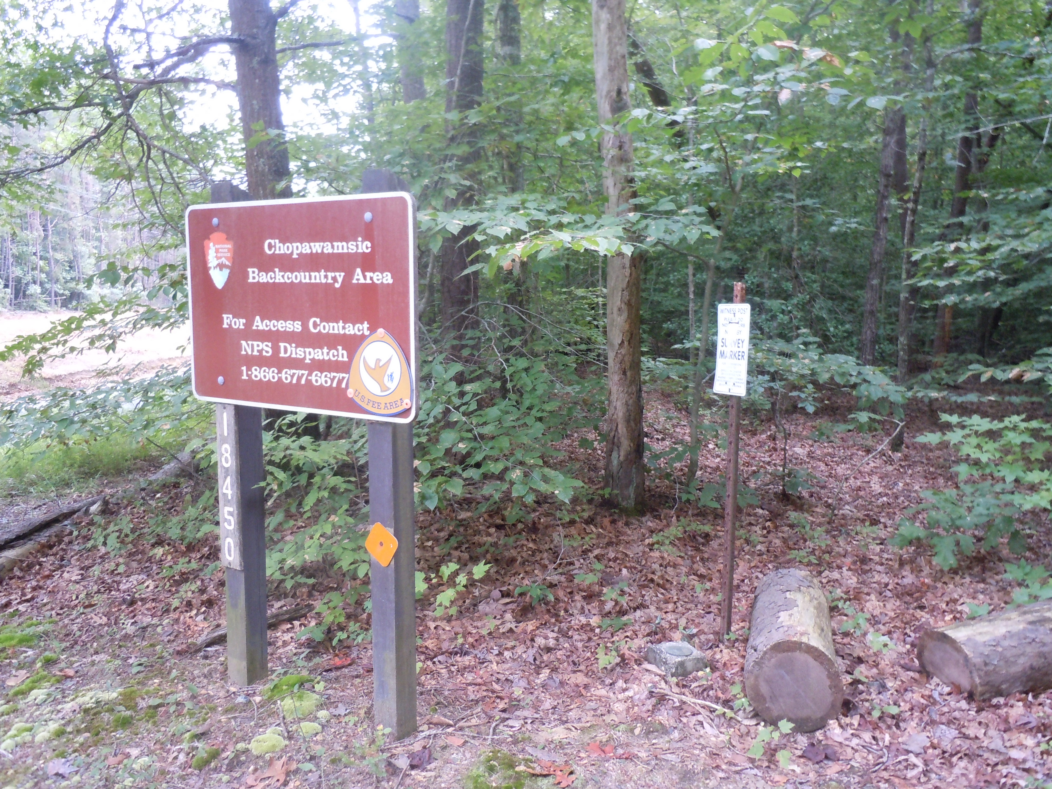 Chopawamsic Backcountry Area campground photo