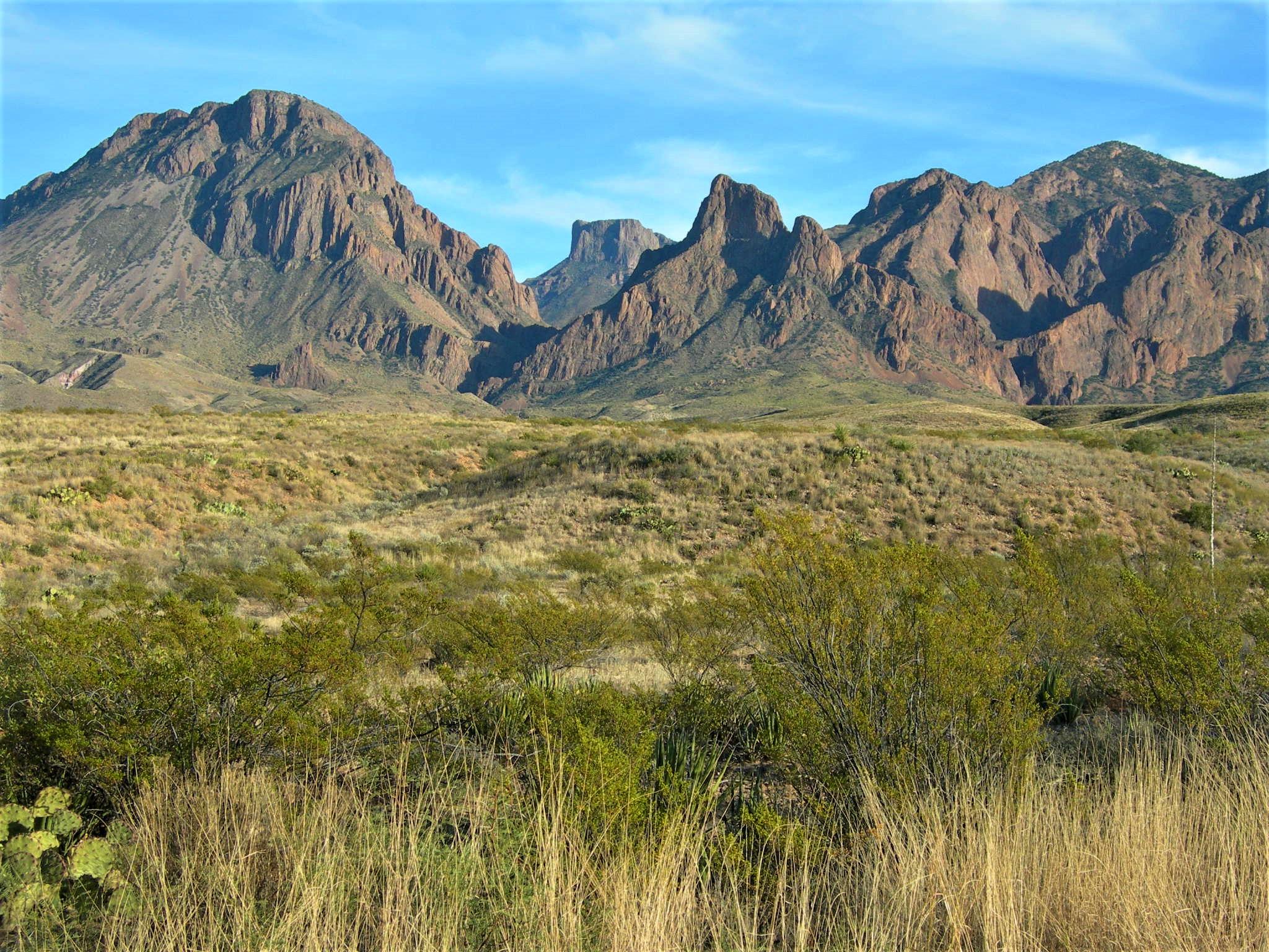 Chisos Basin Campground campground photo