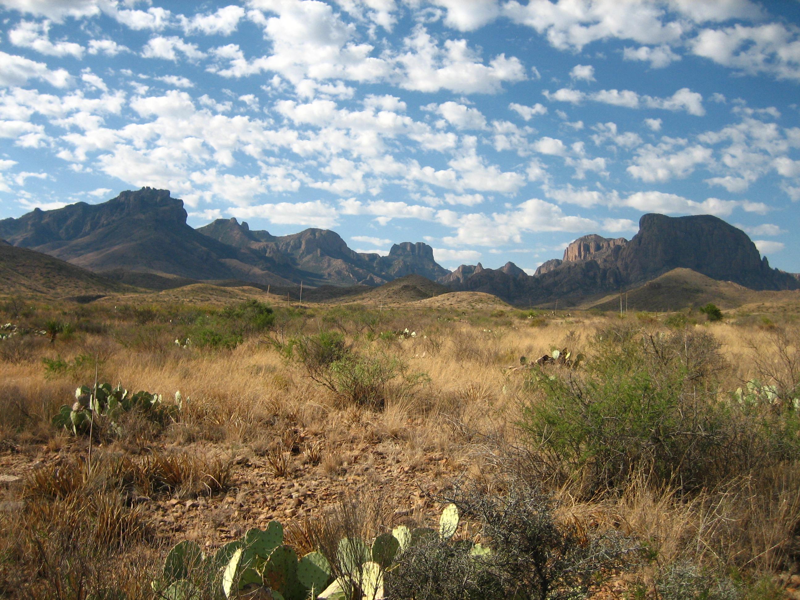 Chisos Basin Campground campground photo