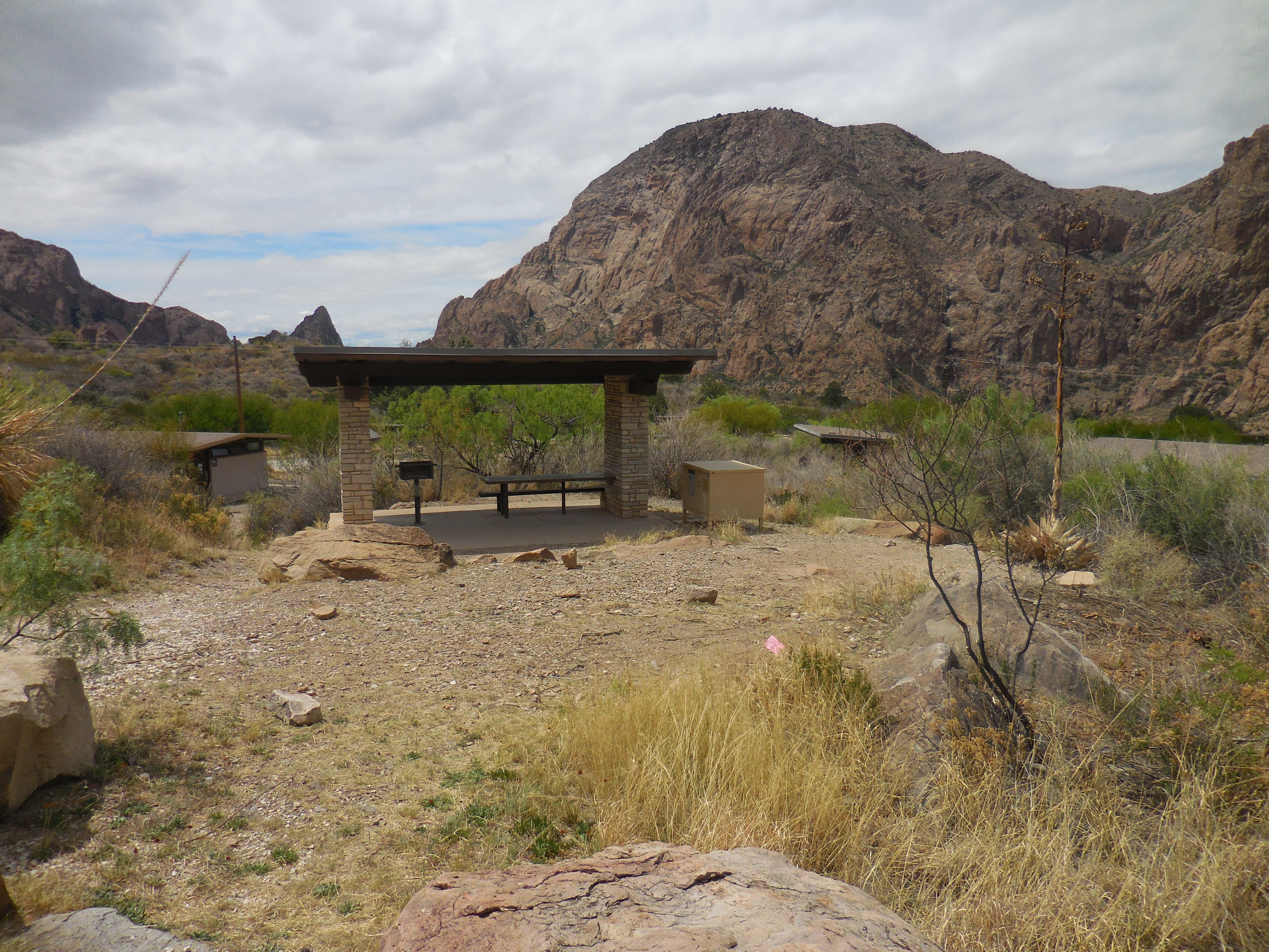 Chisos Basin Campground campground photo