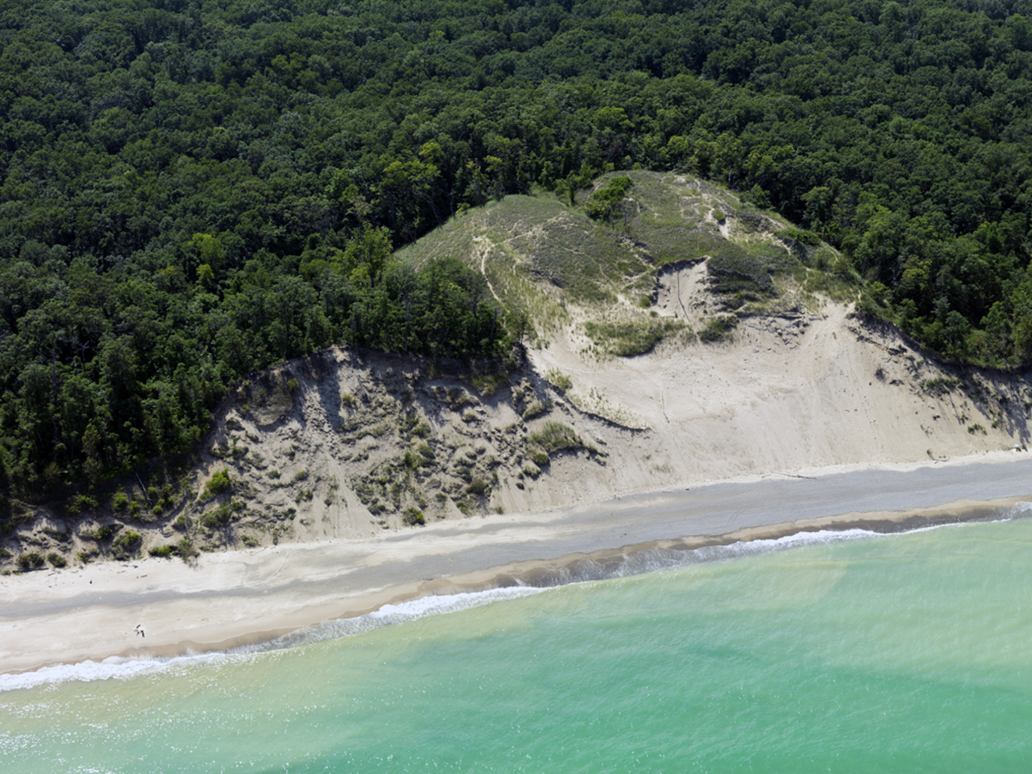 Central Avenue Walk-in Sites campground photo