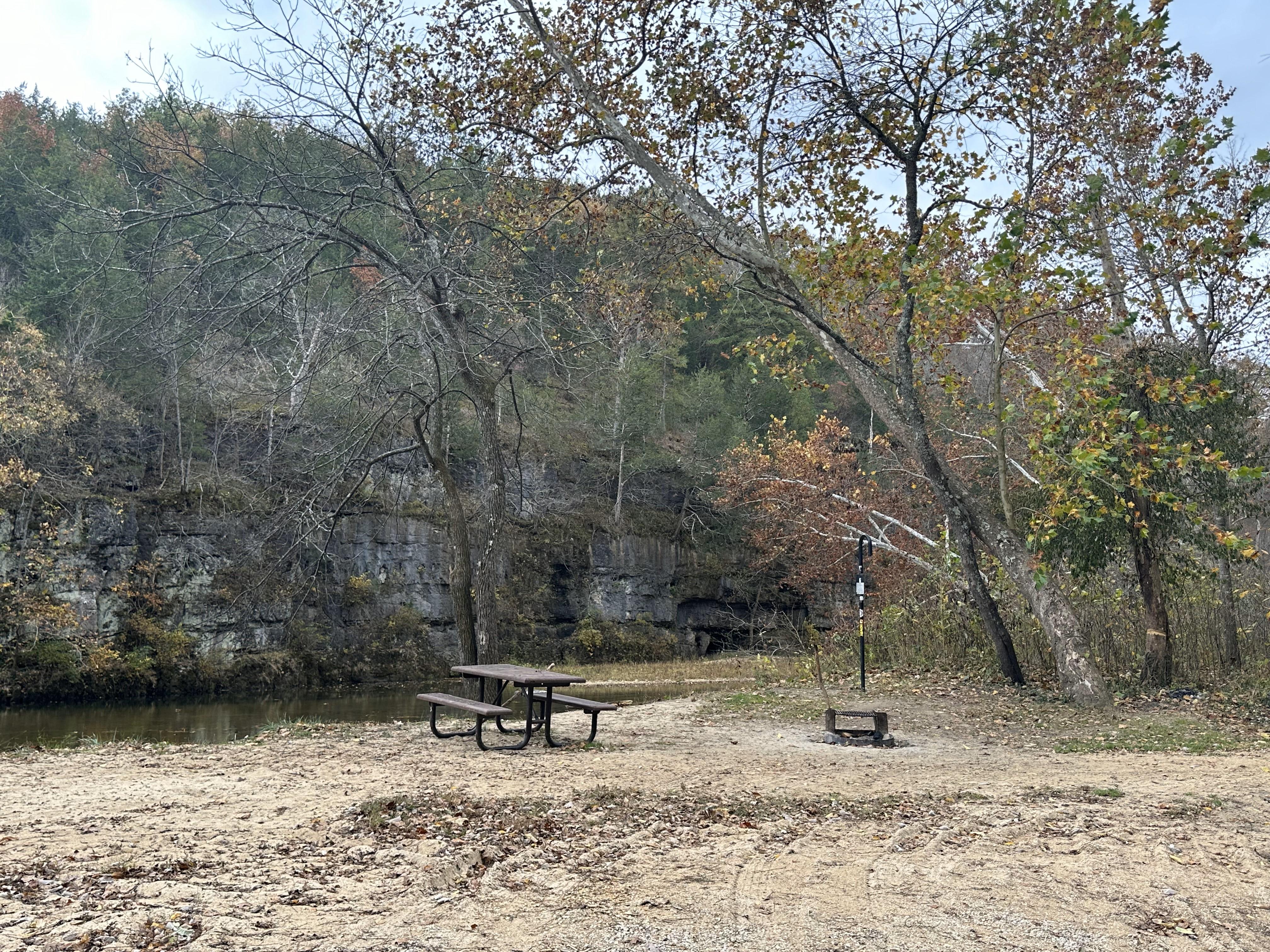 Cedar Grove Campground campground photo