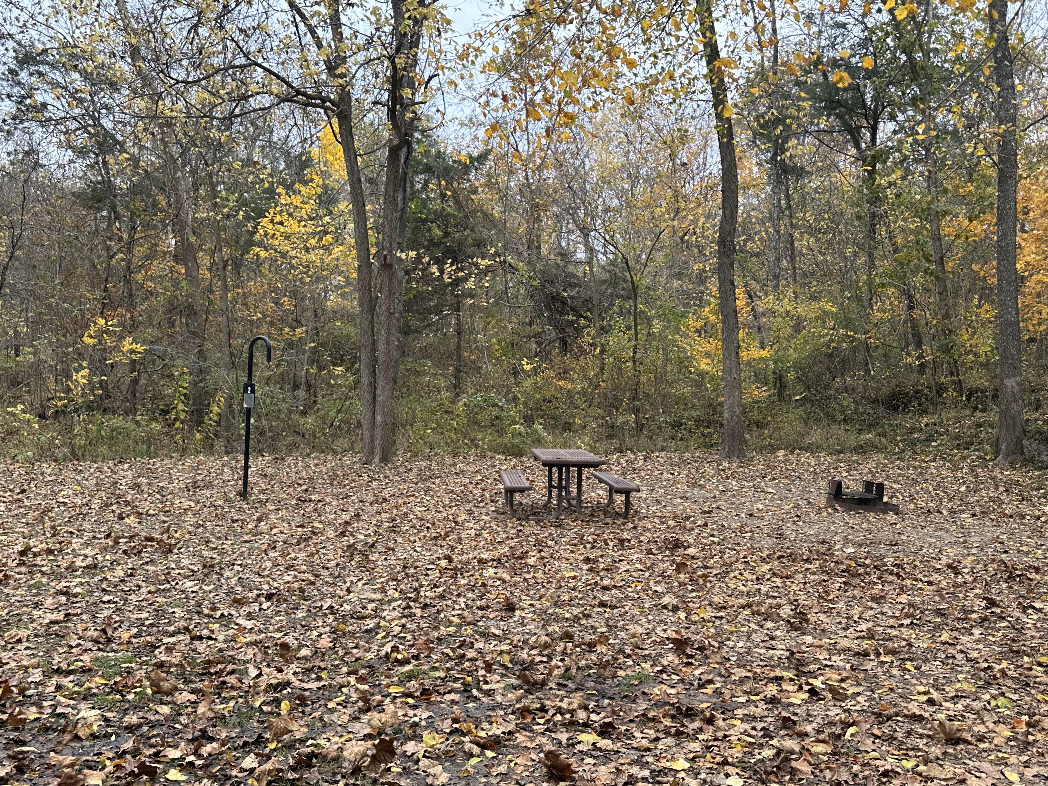 Cedar Grove Campground campground photo