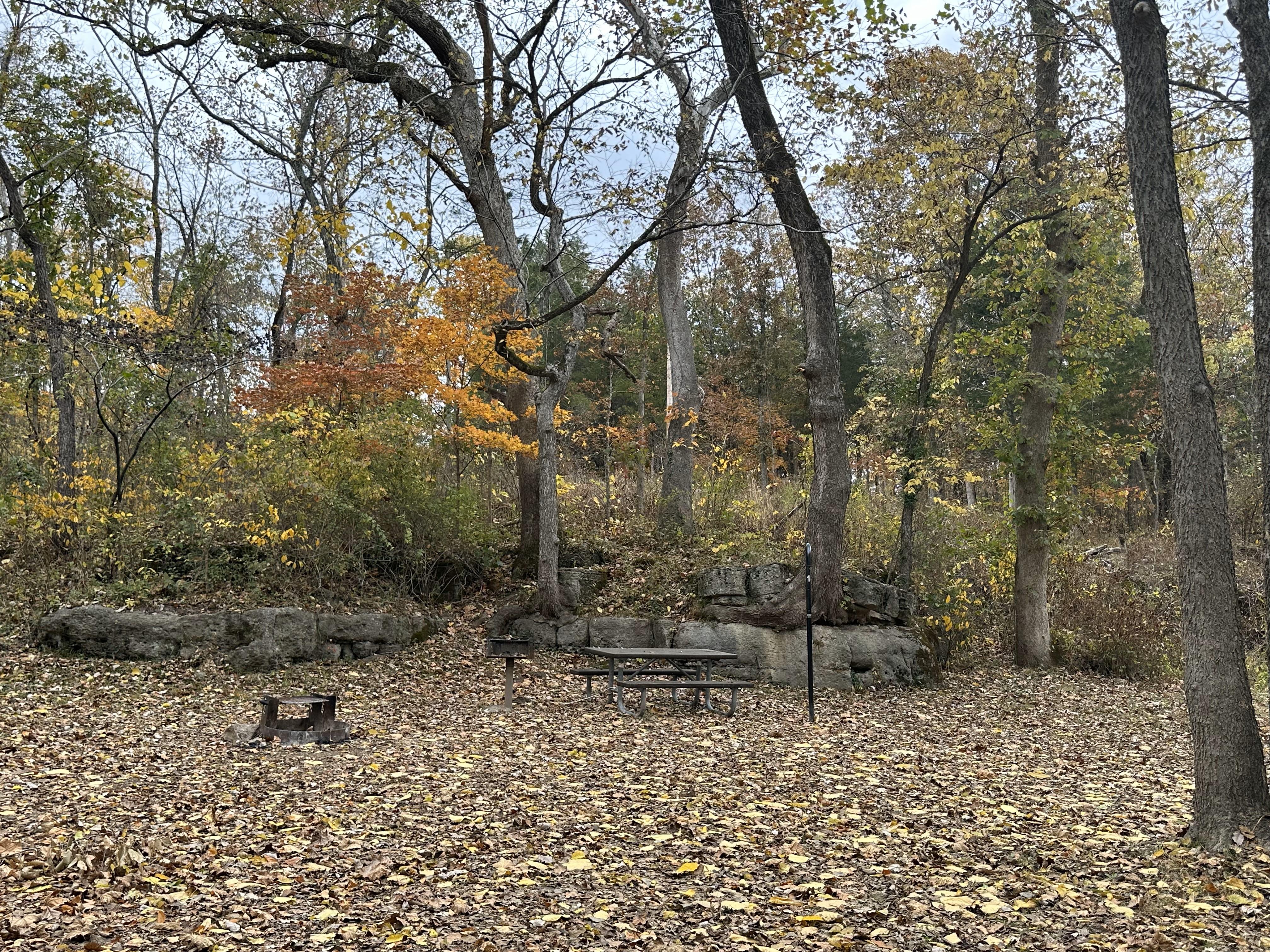 Cedar Grove Campground campground photo