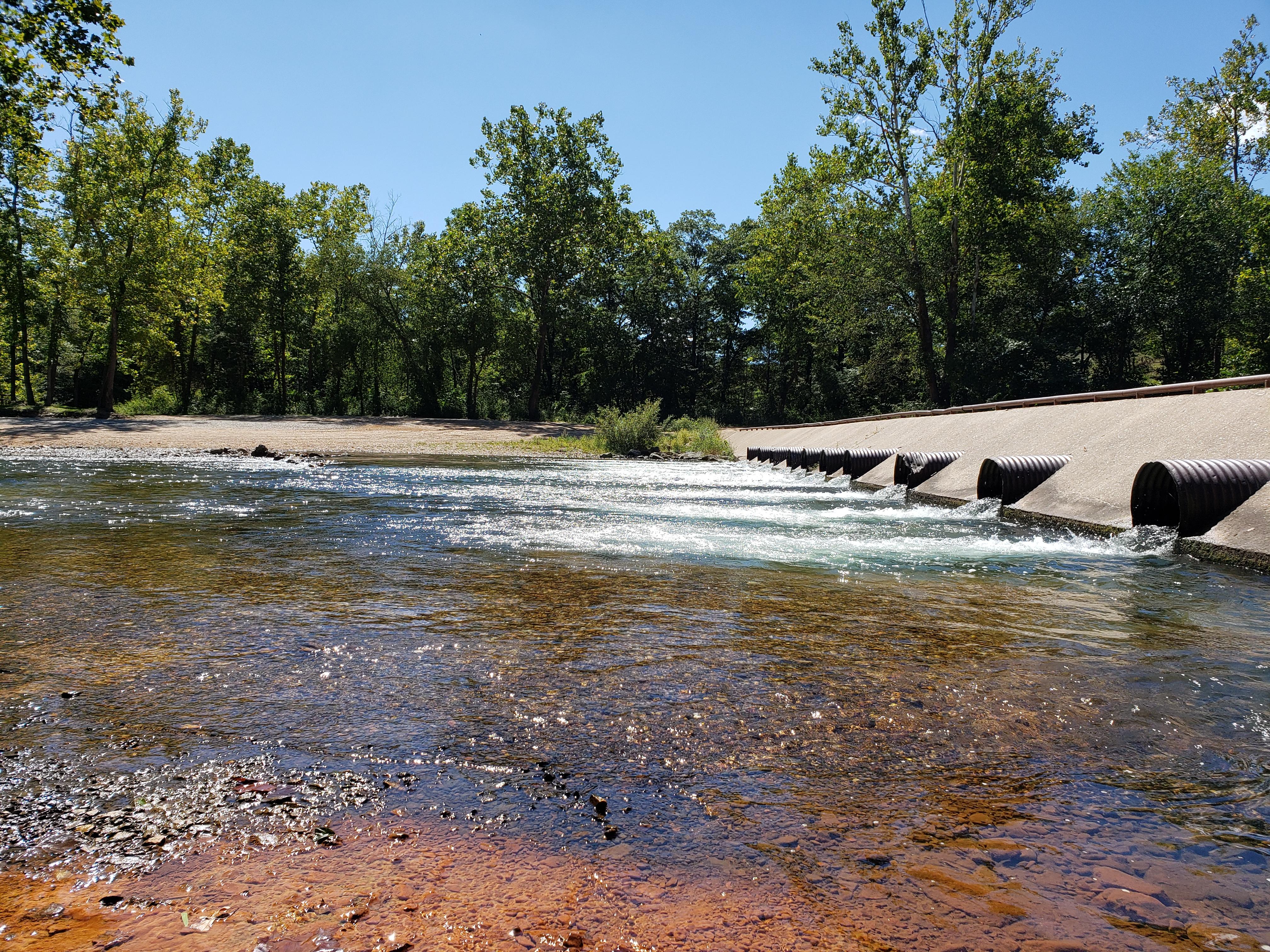 Cedar Grove Campground campground photo