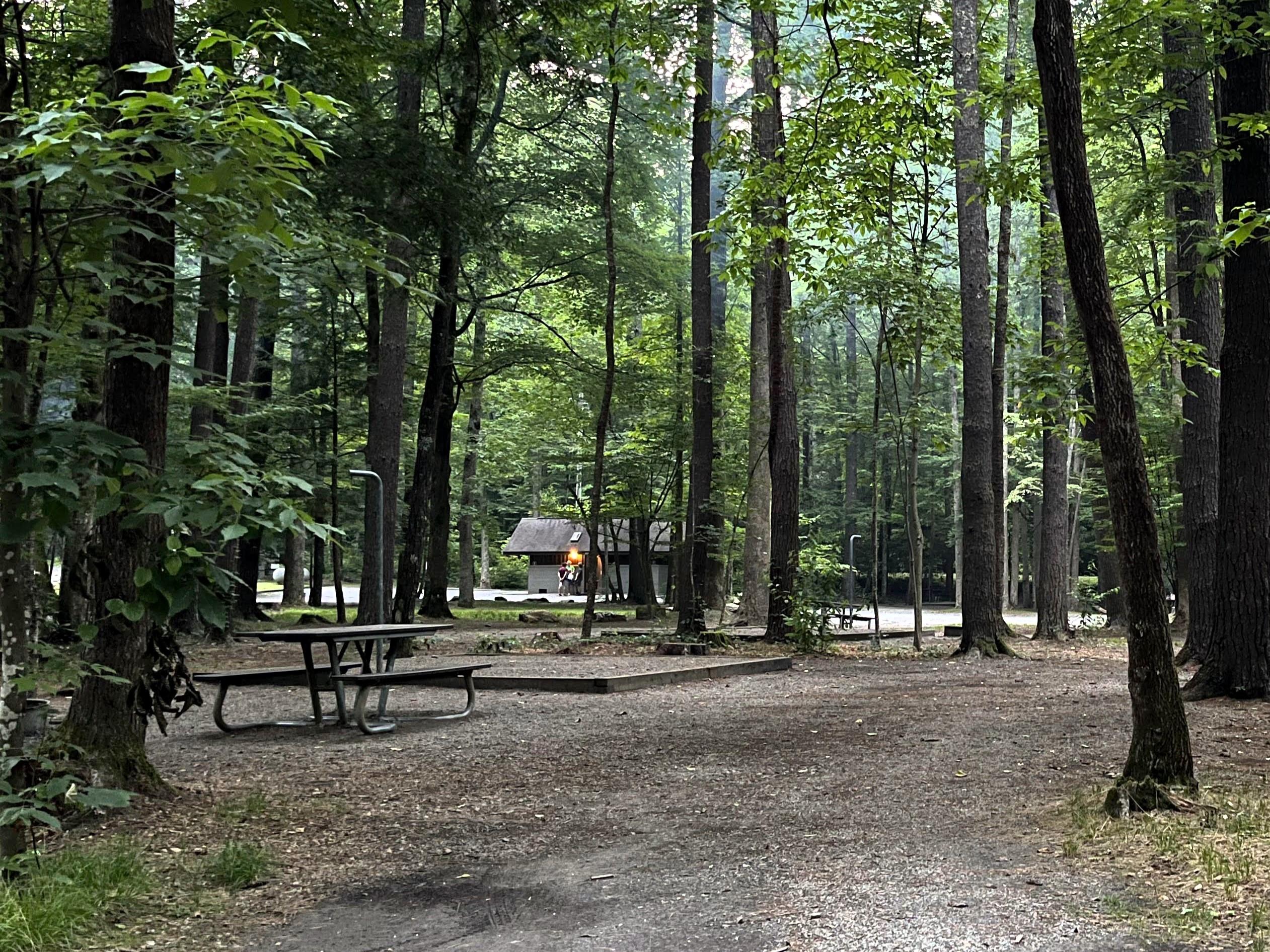Cataloochee Campground campground photo