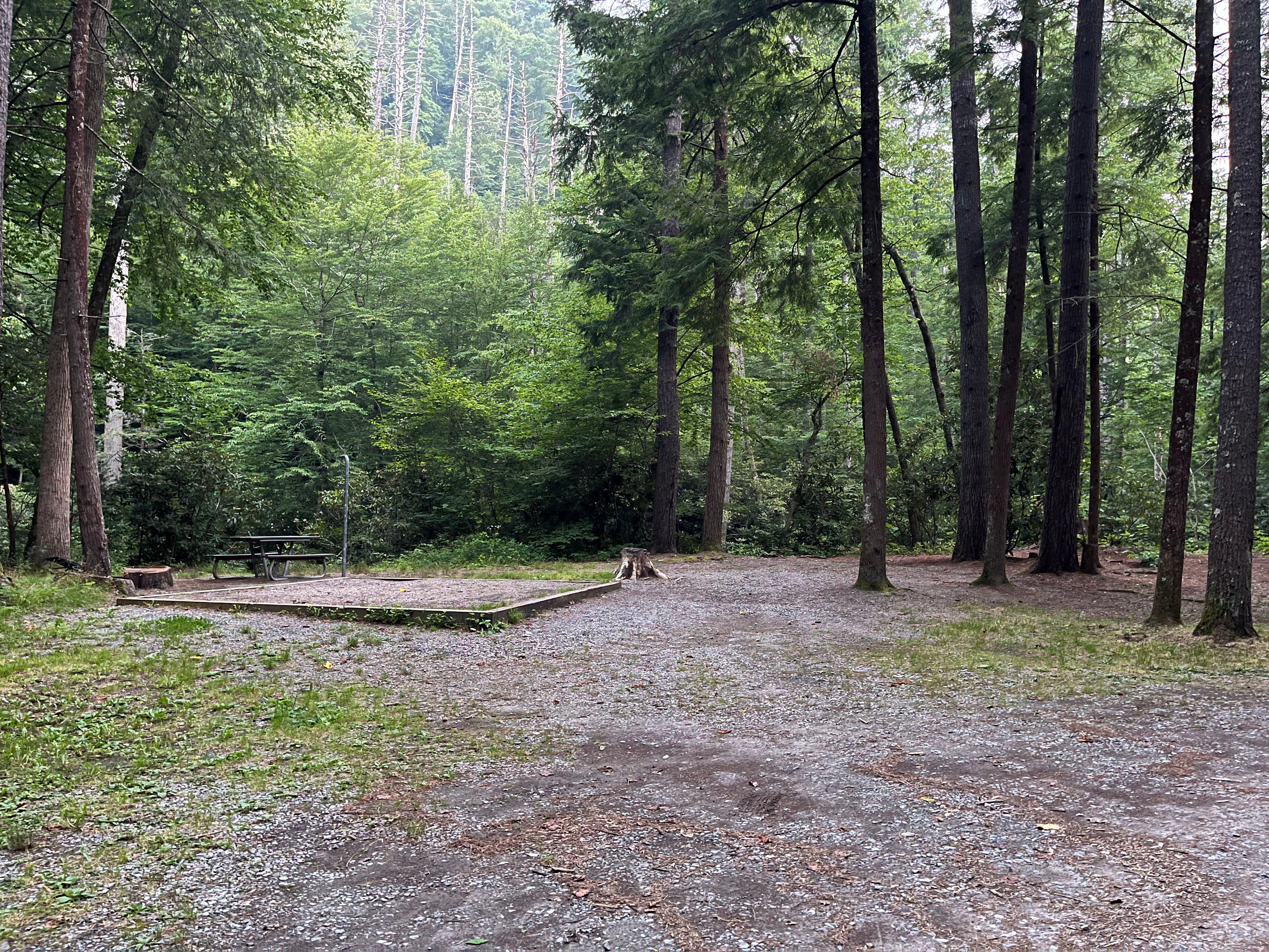Cataloochee Campground campground photo
