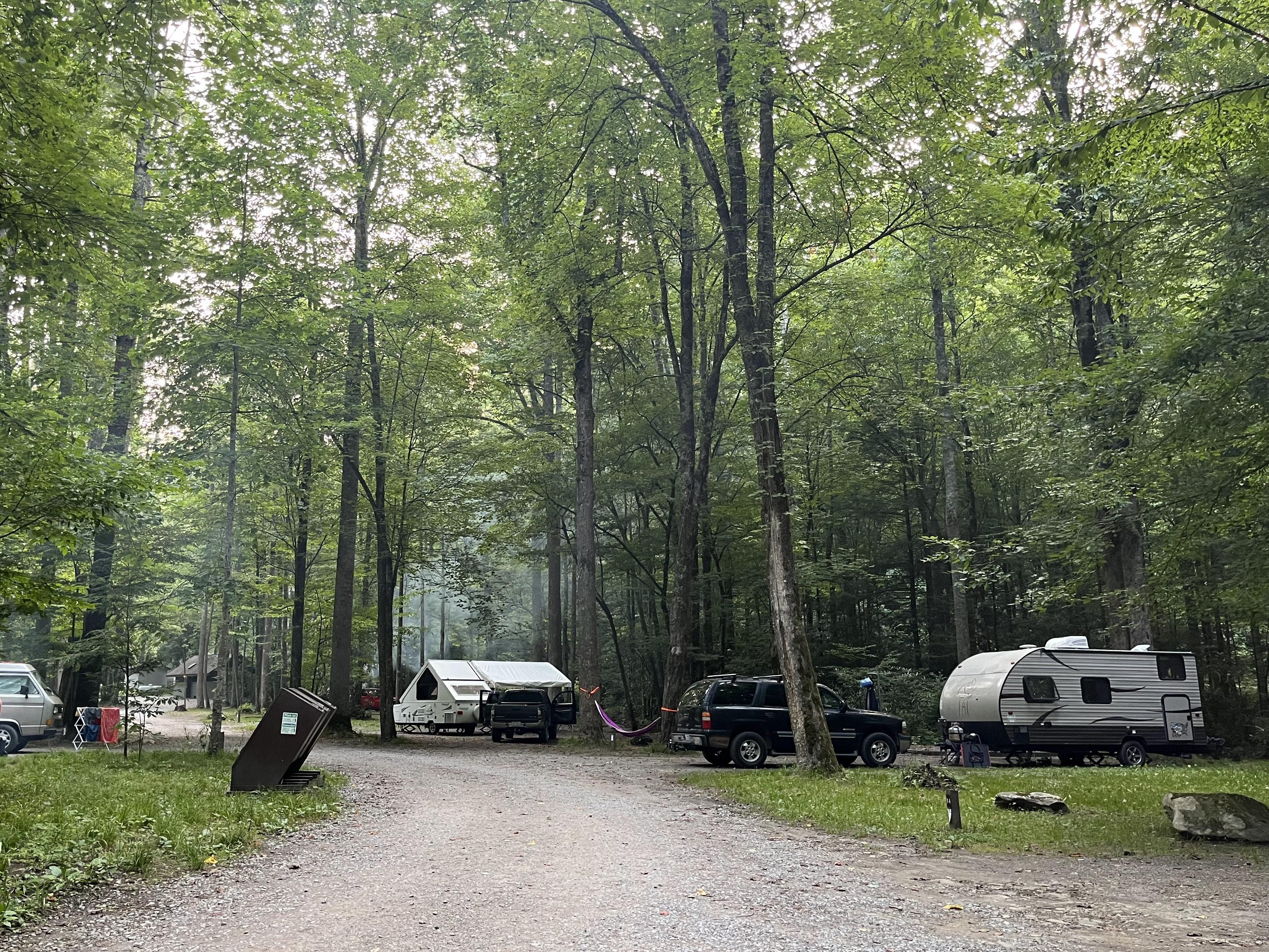 Cataloochee Campground campground photo