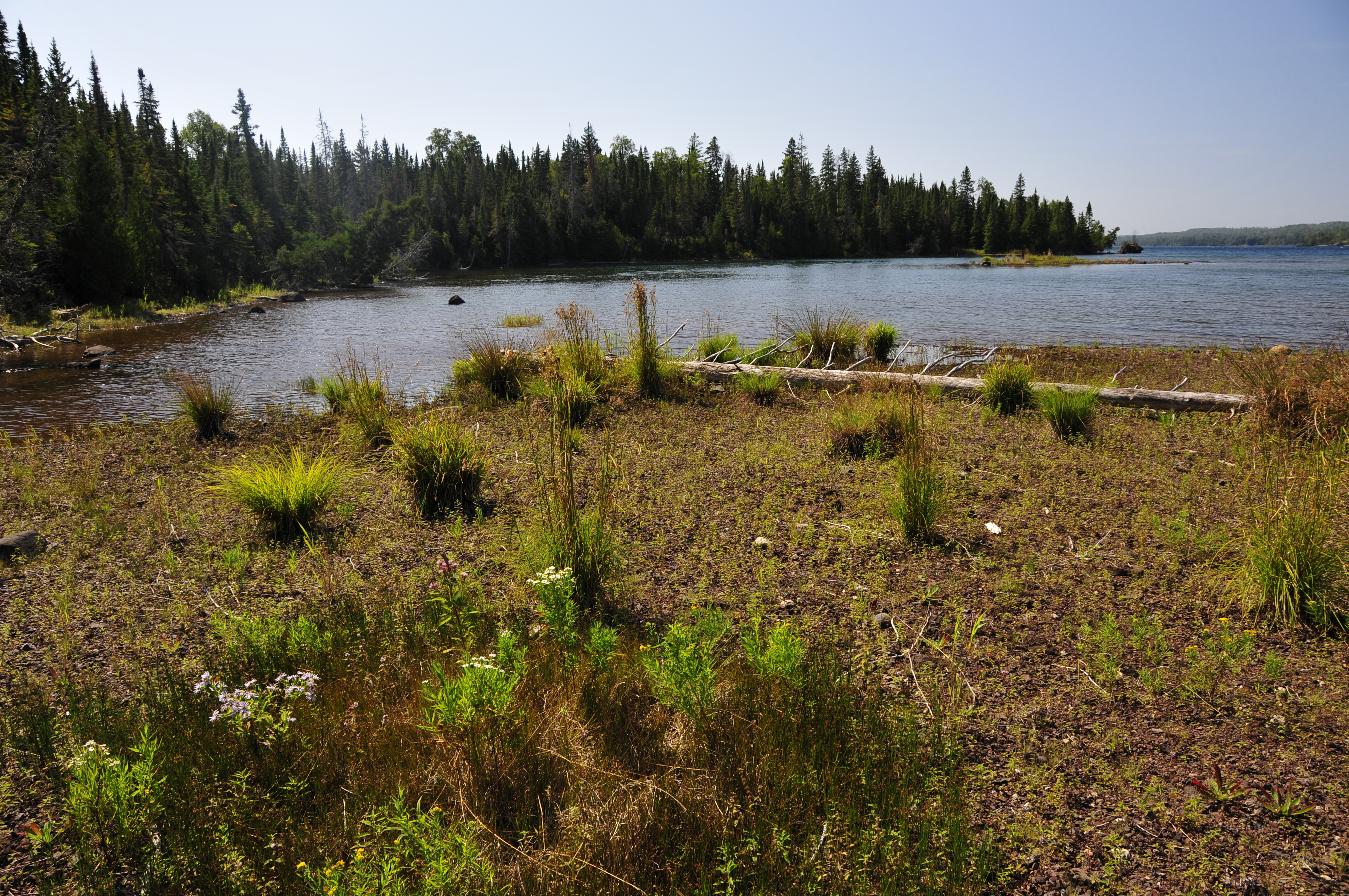 Caribou Island Campground campground photo