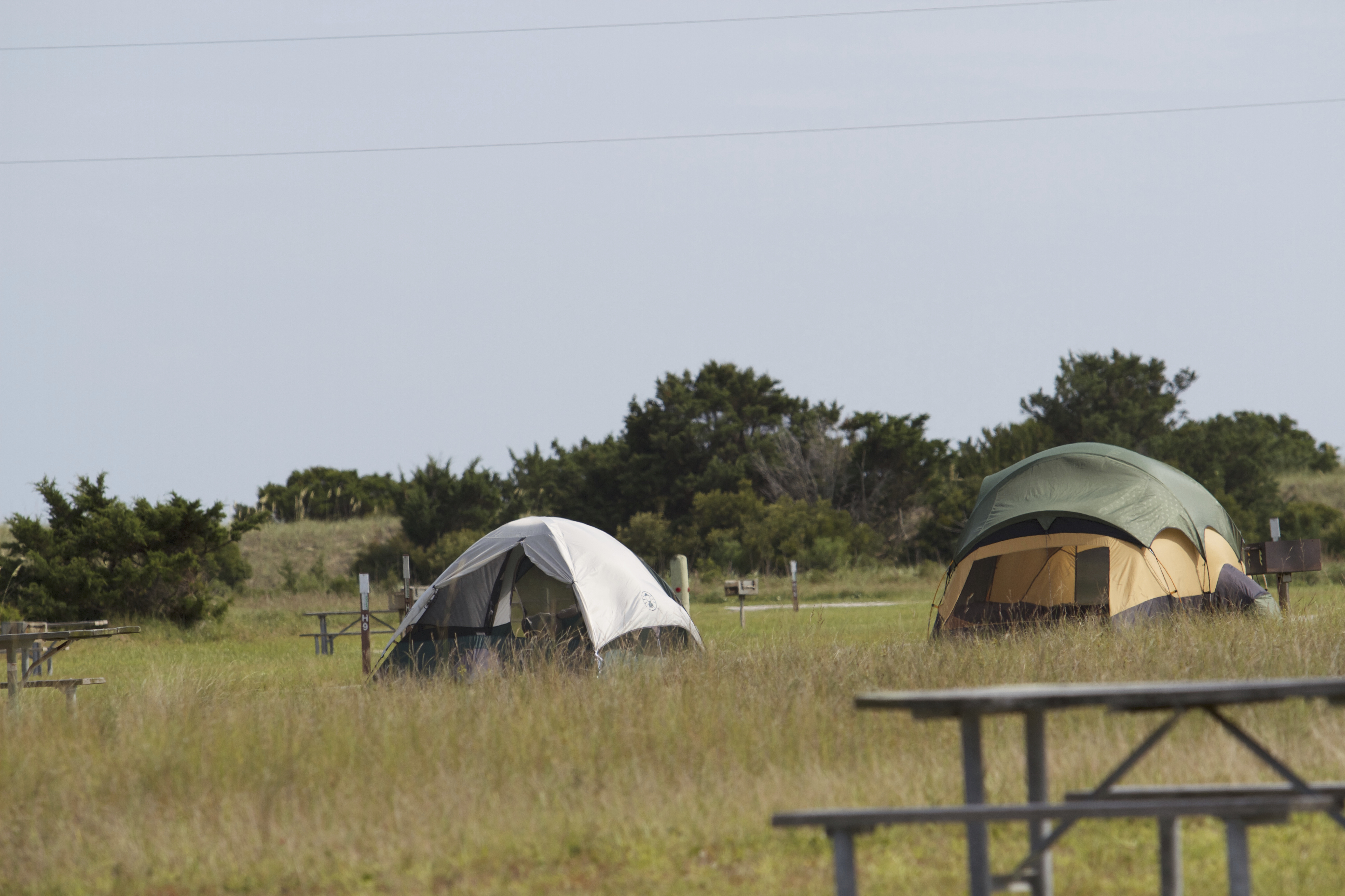 Cape Point Campground campground photo