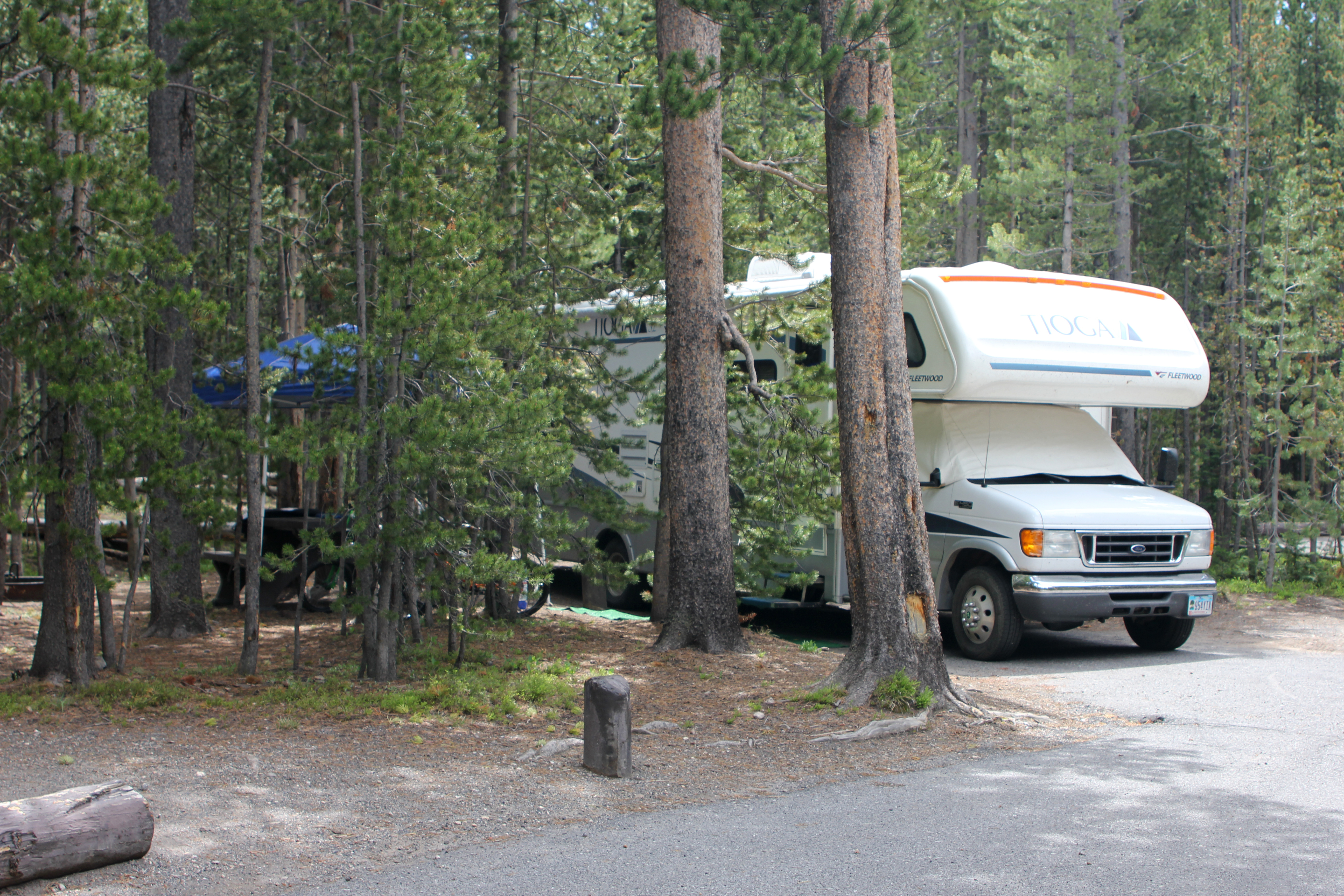 Canyon Campground campground photo