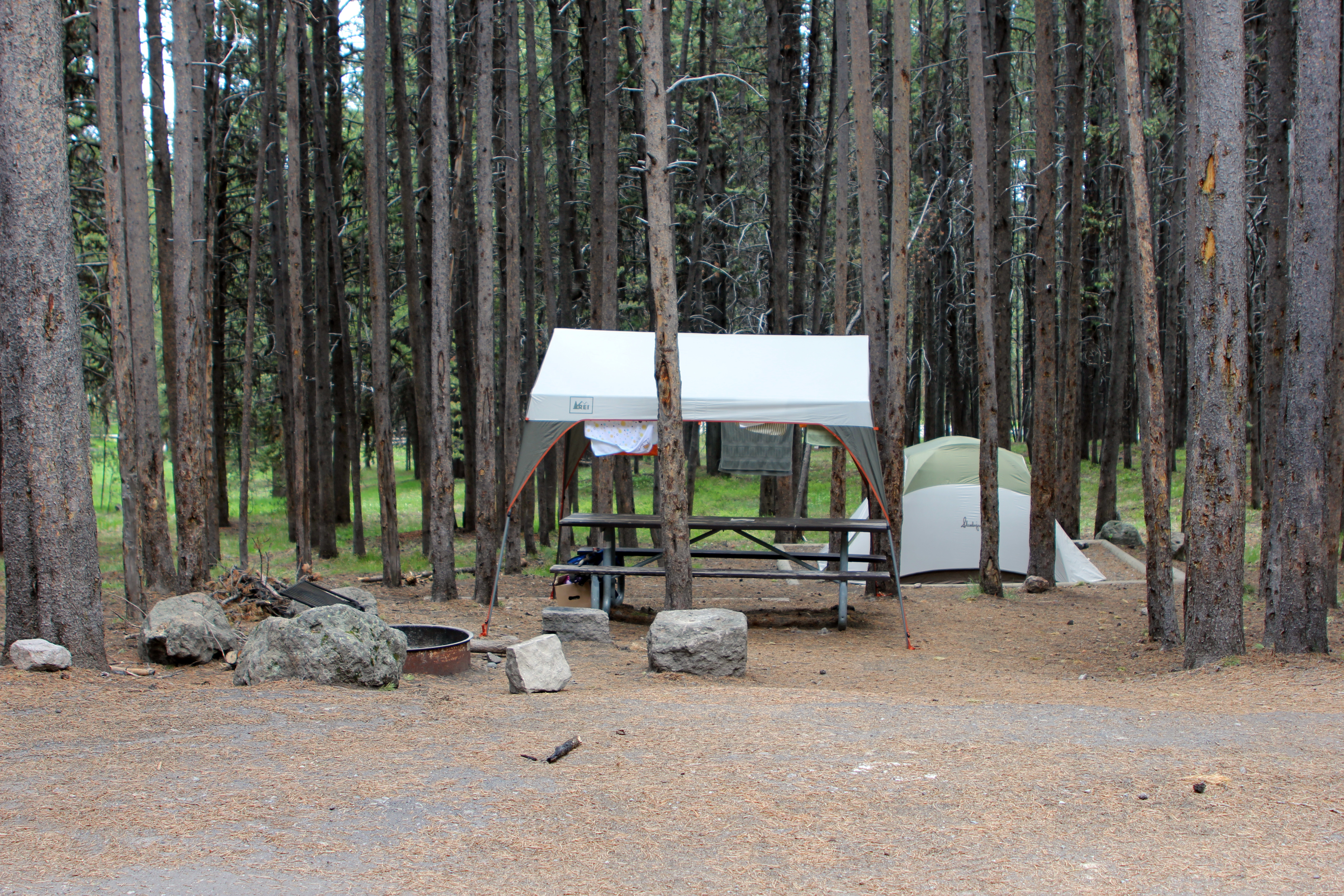 Canyon Campground campground photo