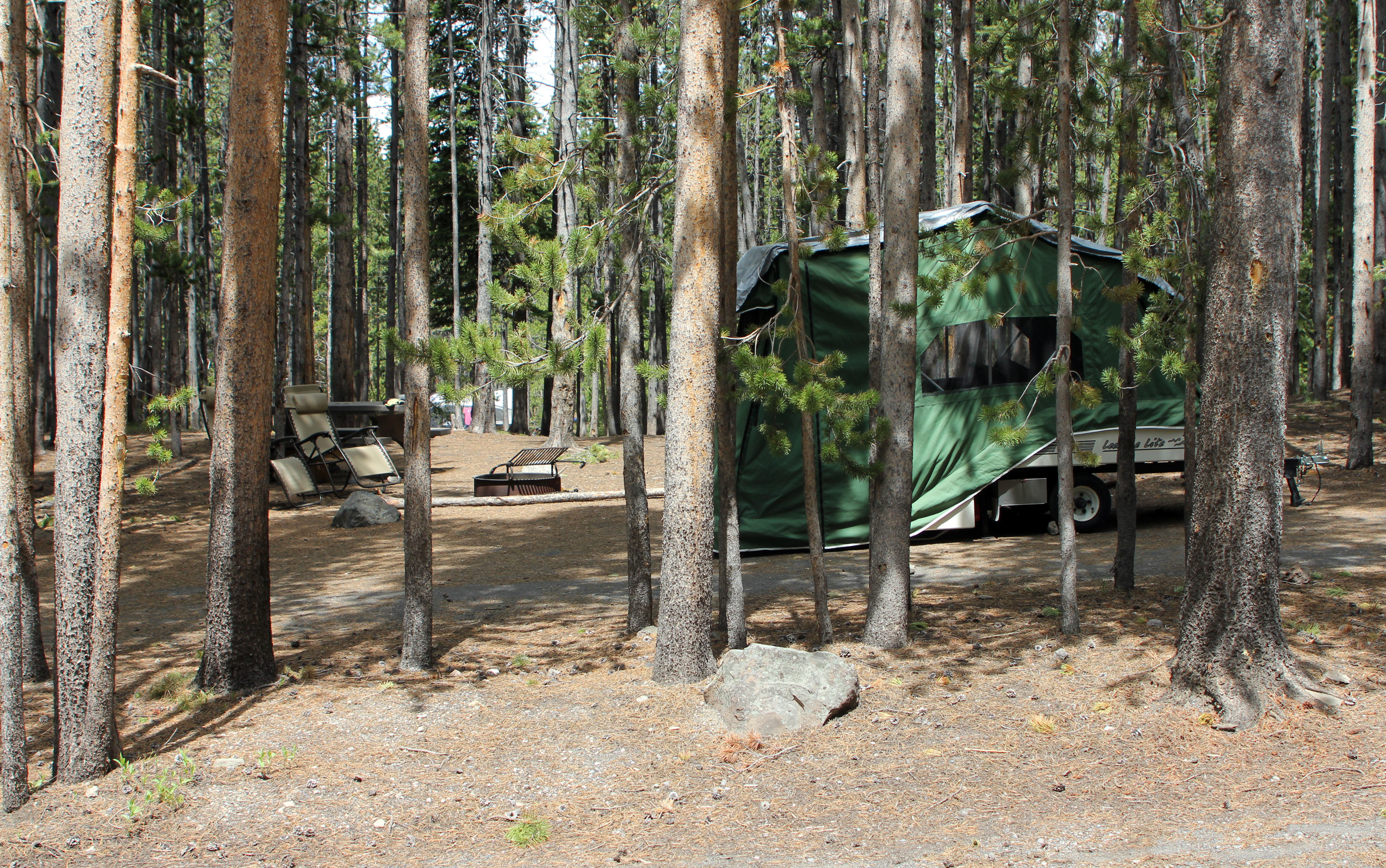 Canyon Campground campground photo