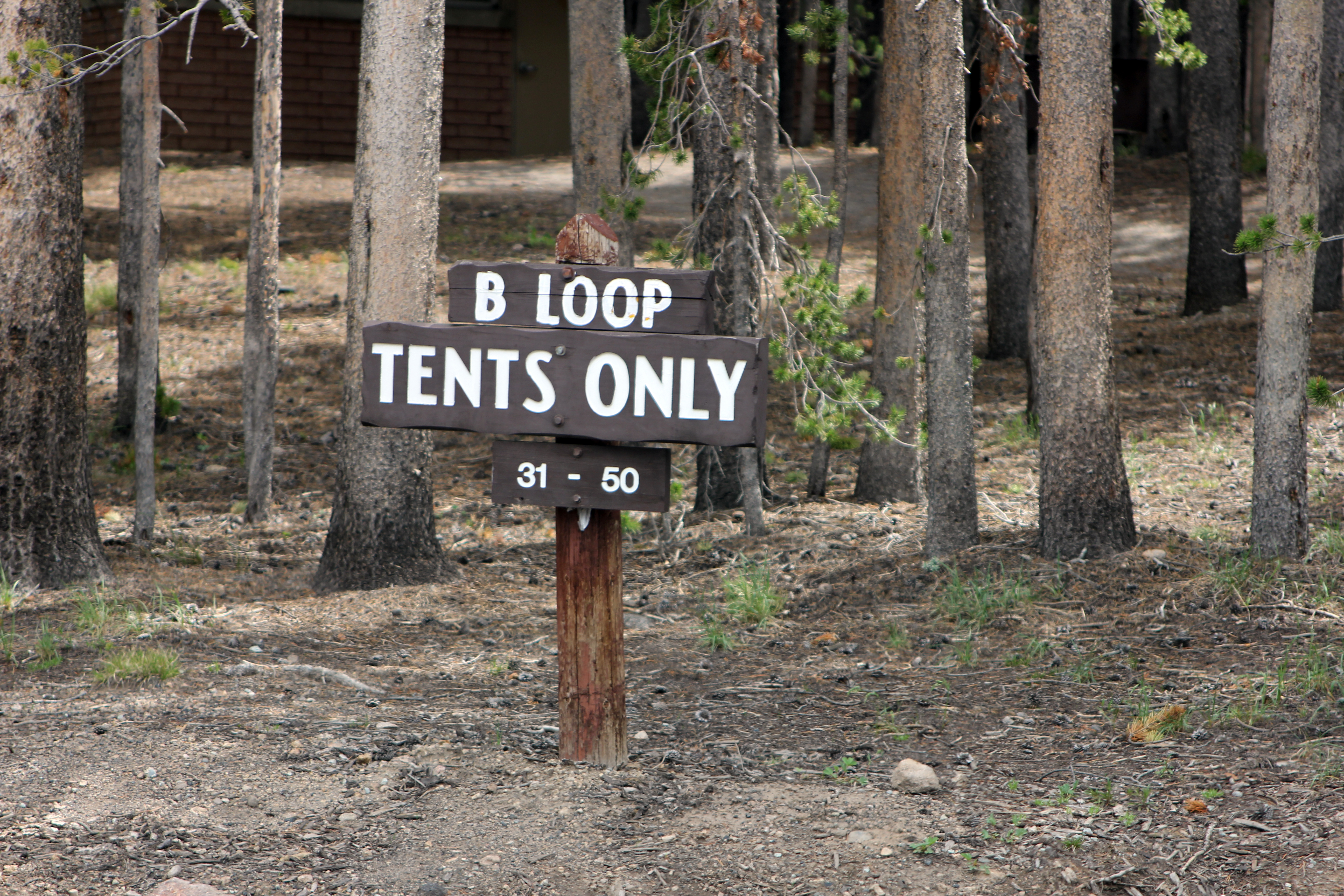 Canyon Campground campground photo