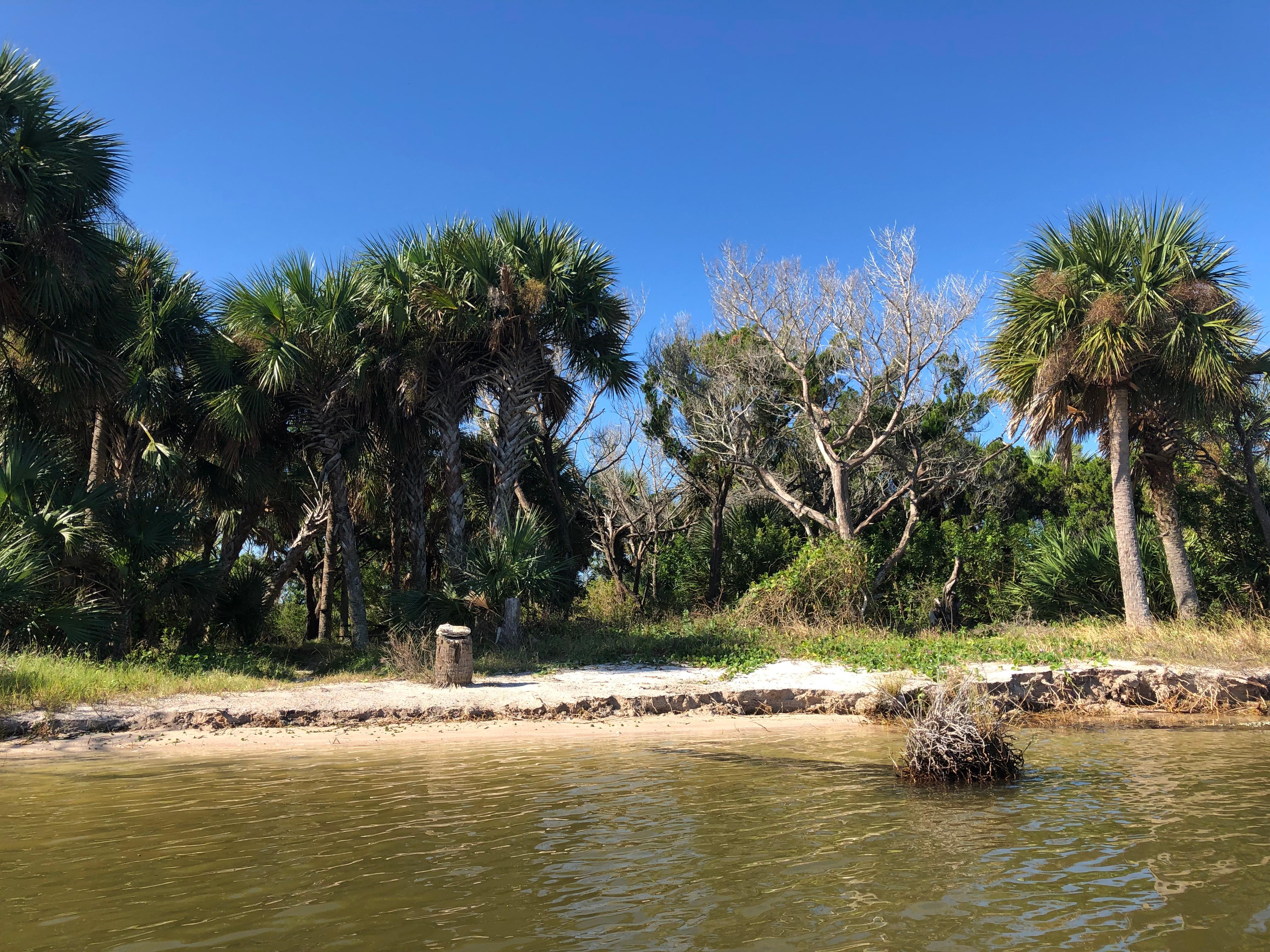 Canaveral National Seashore Backcountry Island Camping campground photo