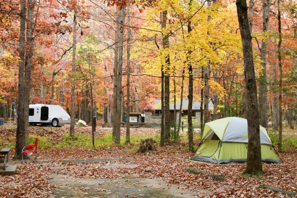 Cades Cove Campground campground photo