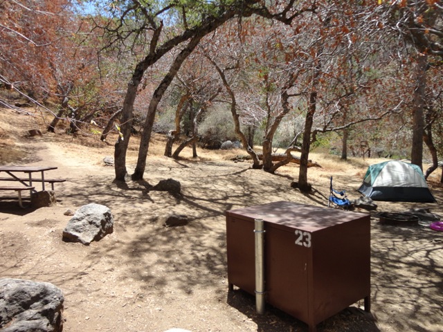 Buckeye Flat Campground campground photo