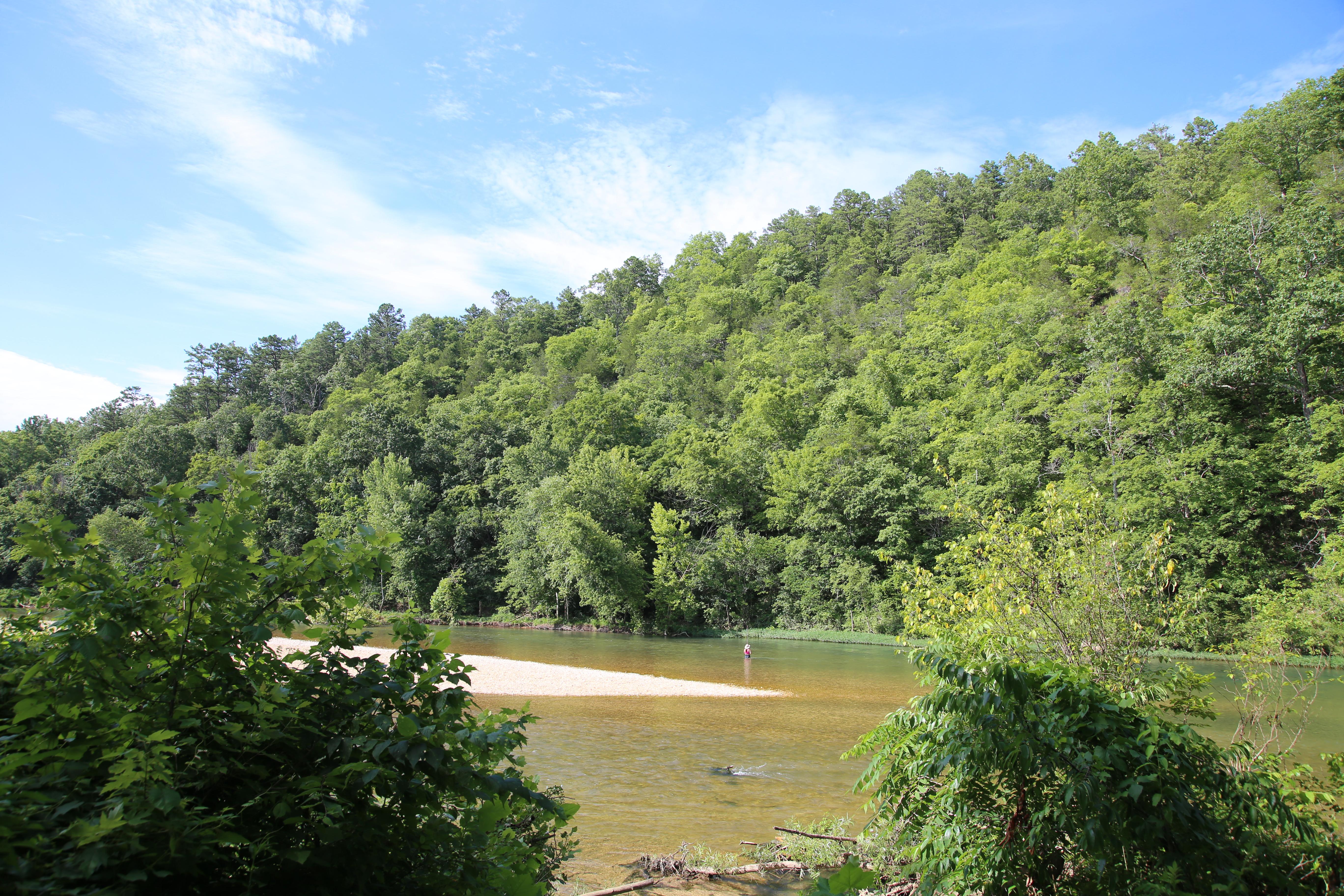 Broadfoot Campground campground photo