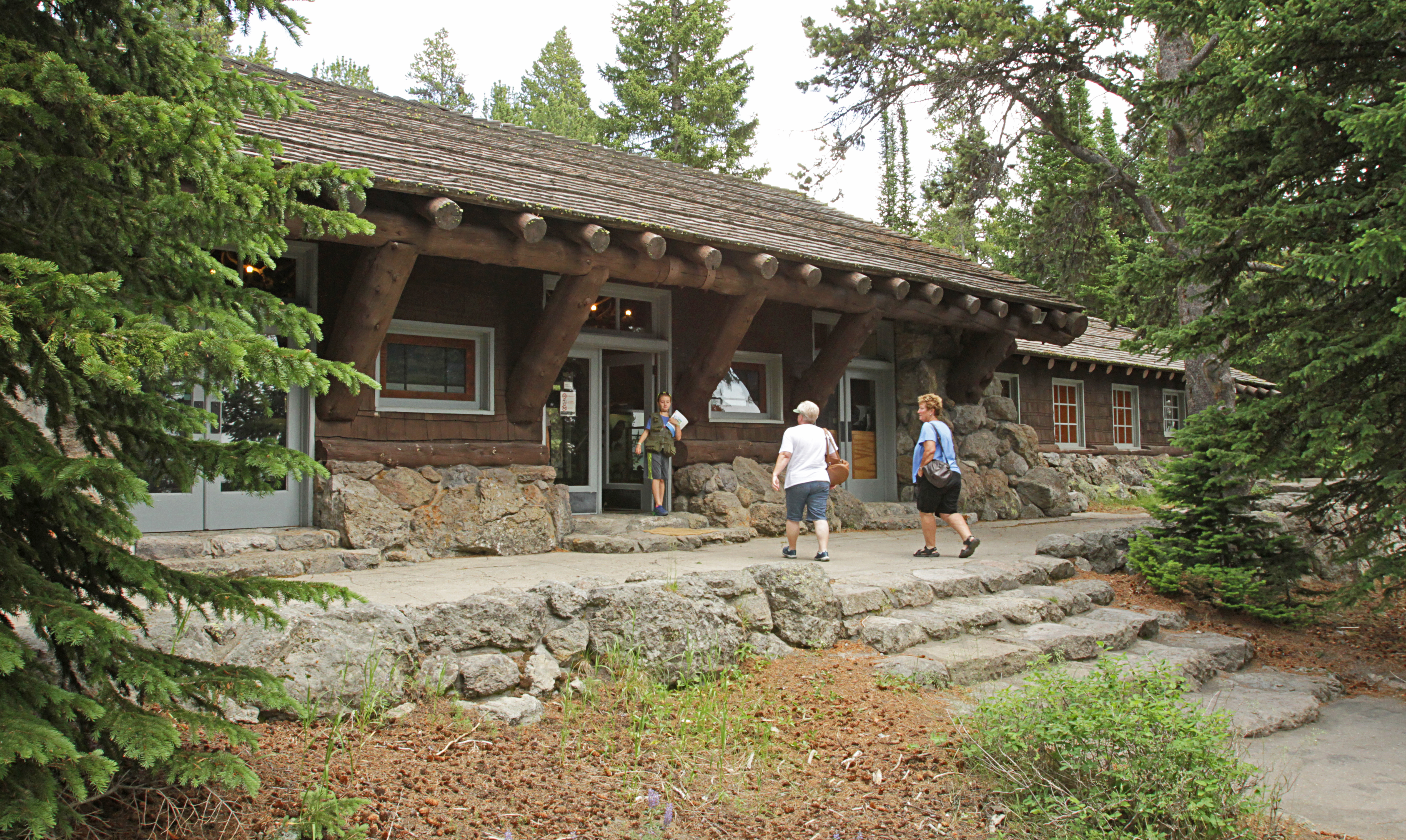 Bridge Bay Campground campground photo