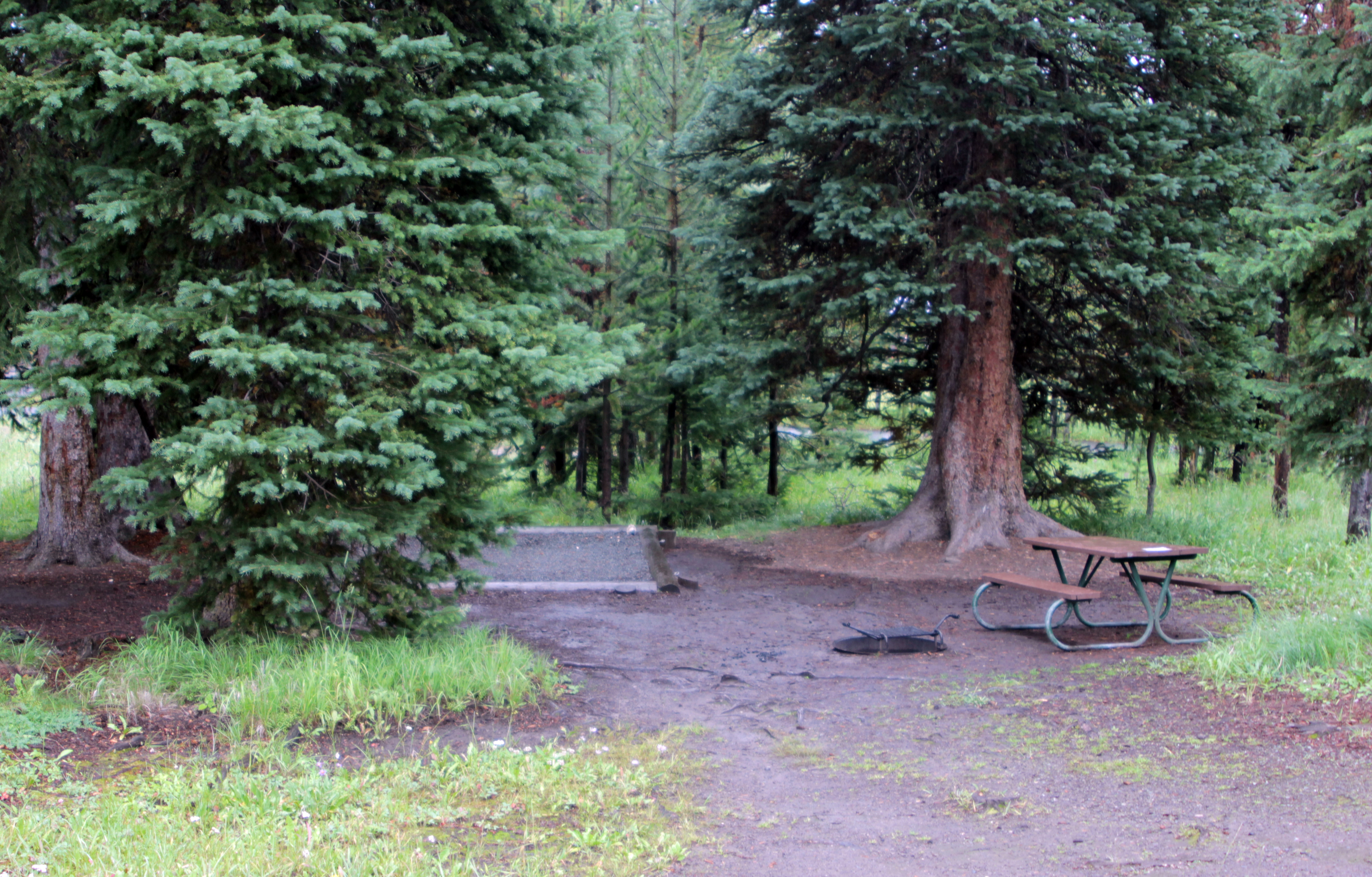 Bridge Bay Campground campground photo