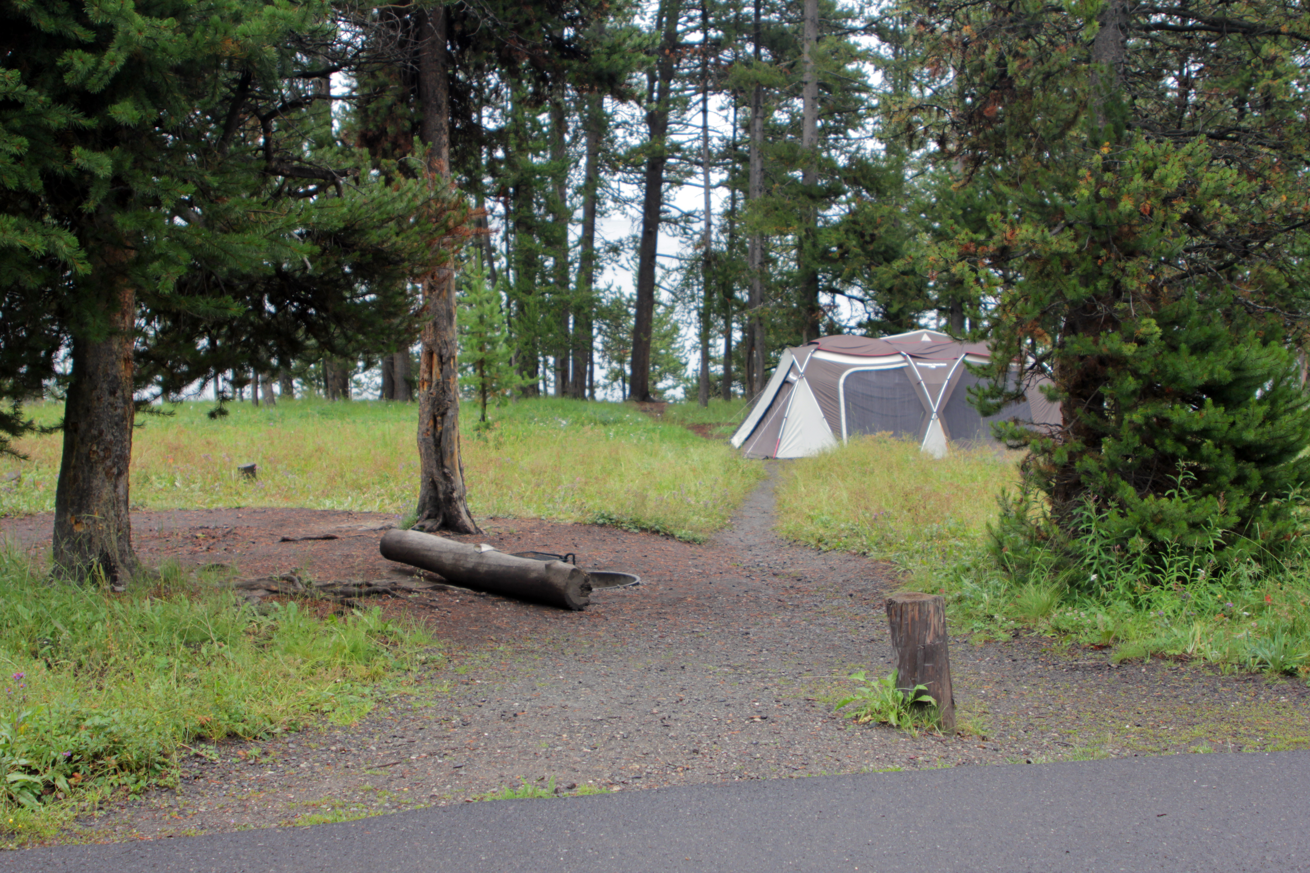 Bridge Bay Campground campground photo