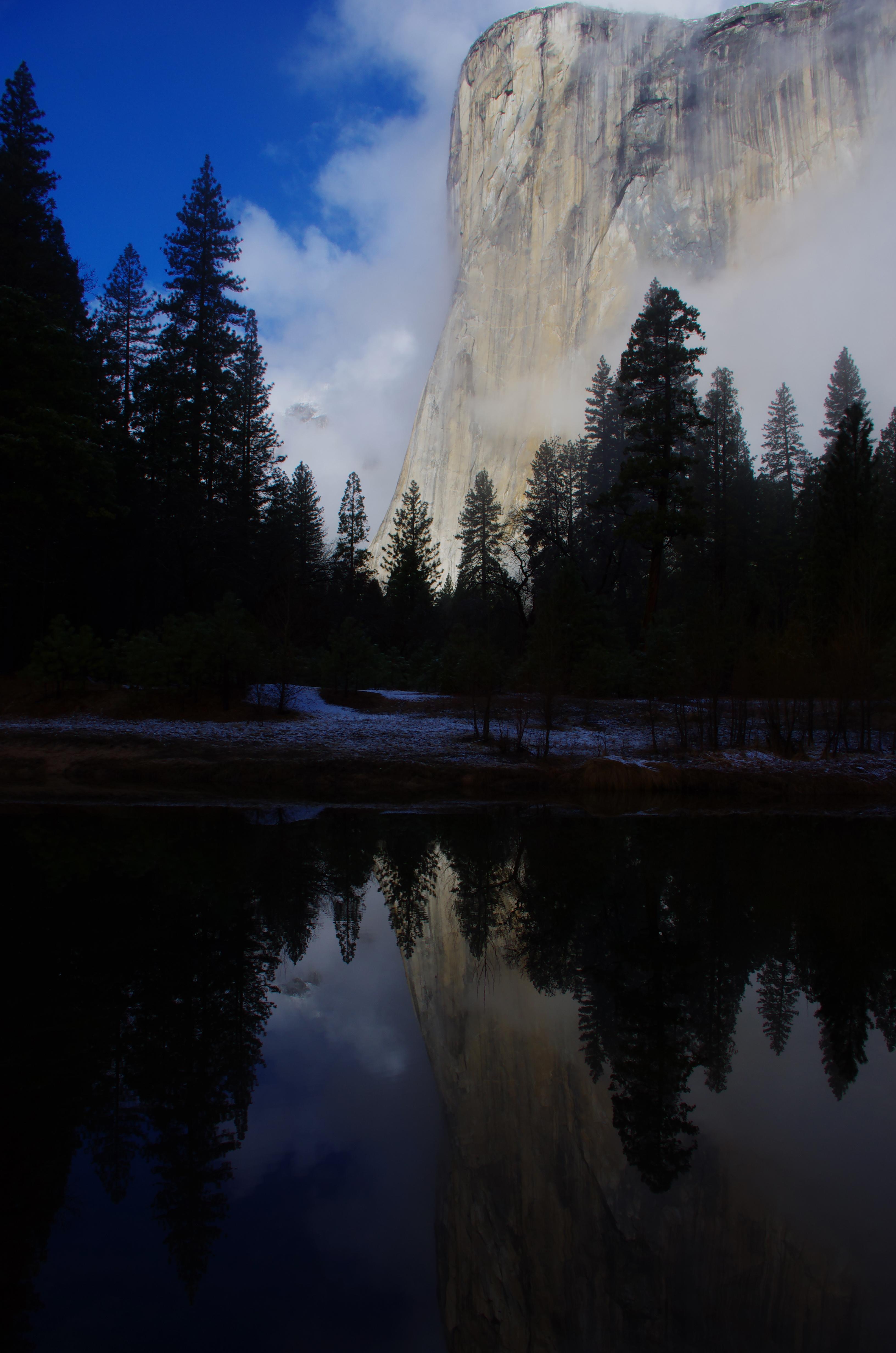 Bridalveil Creek Campground campground photo