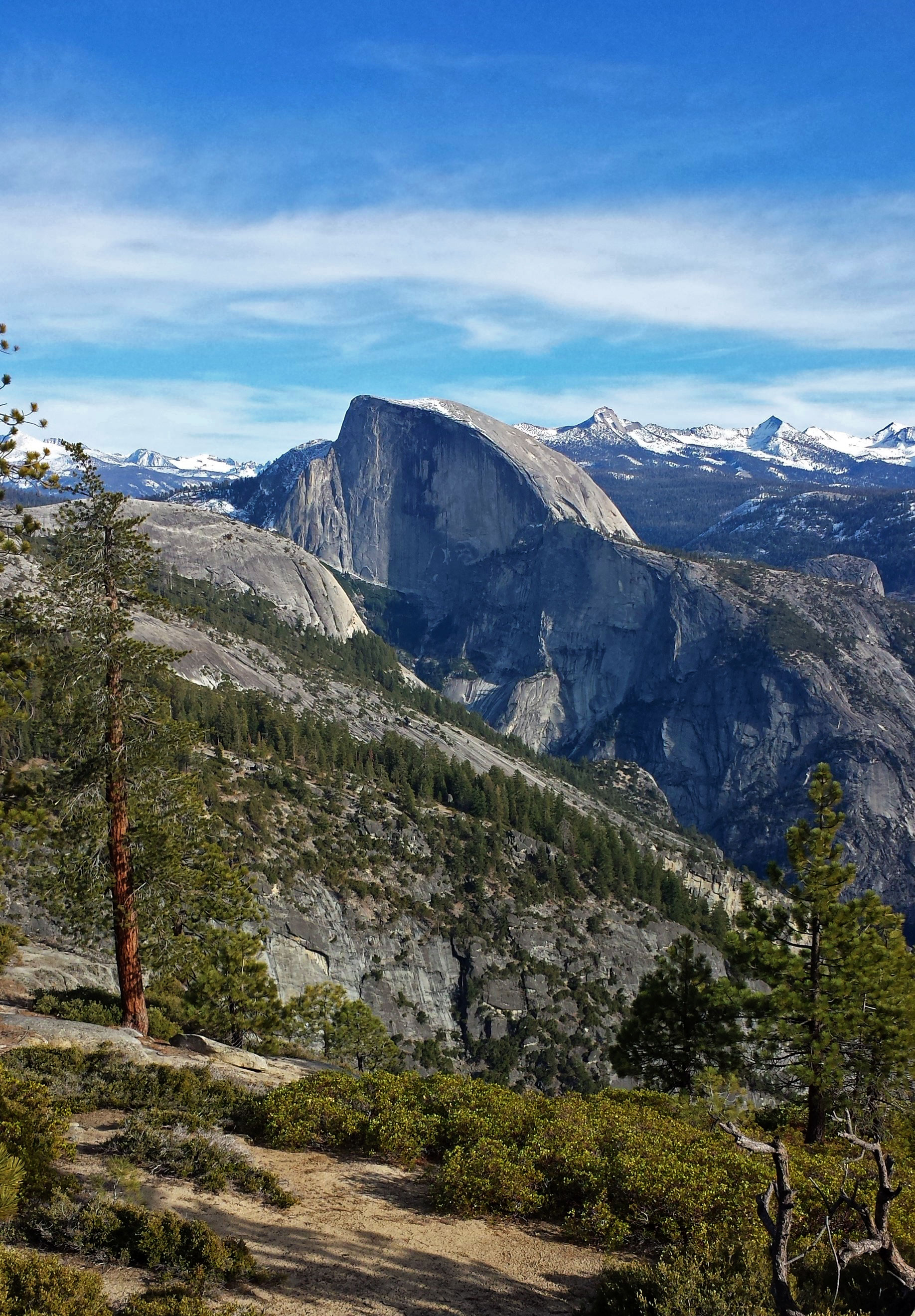 Bridalveil Creek Campground campground photo