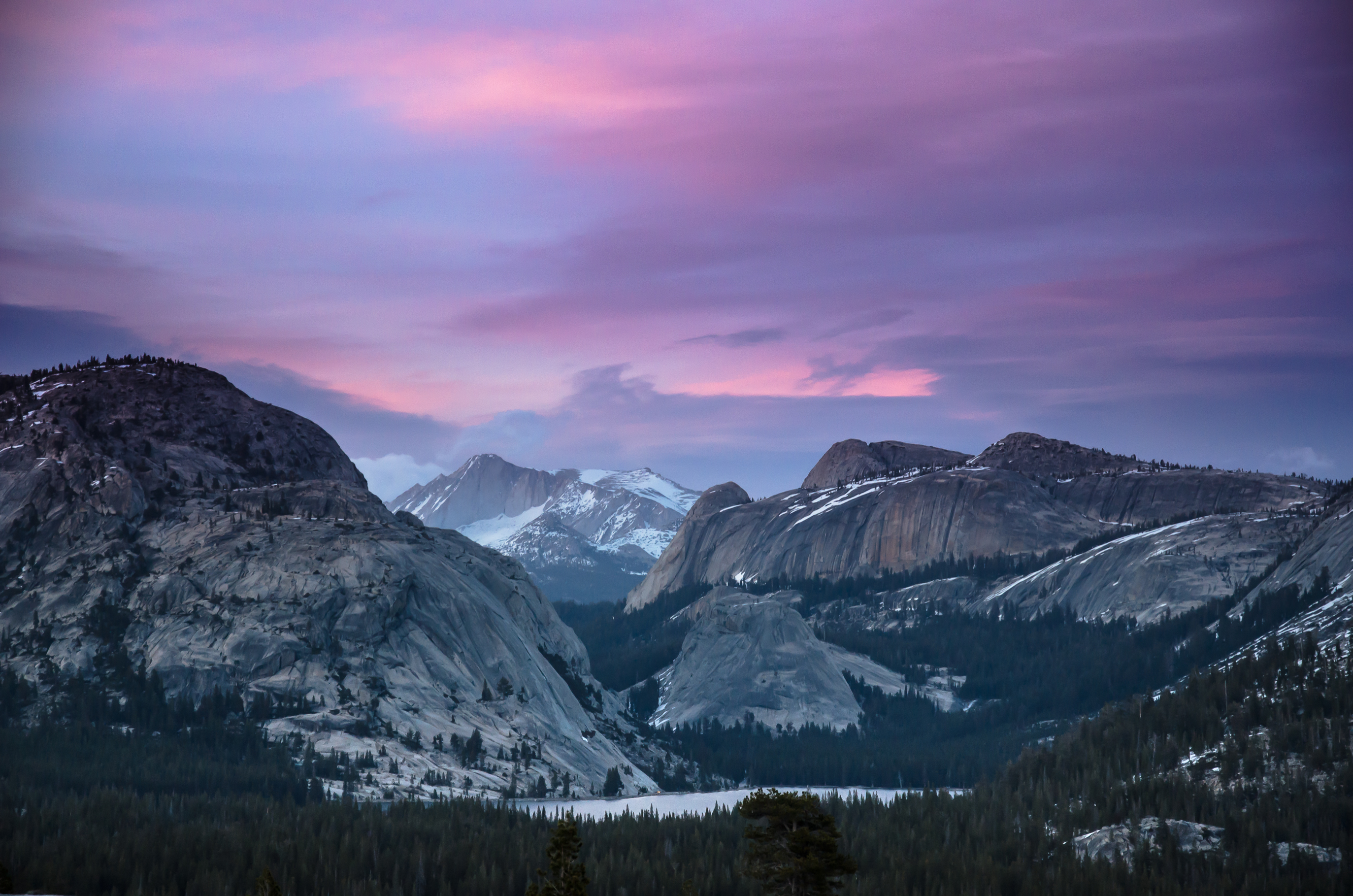 Bridalveil Creek Campground campground photo