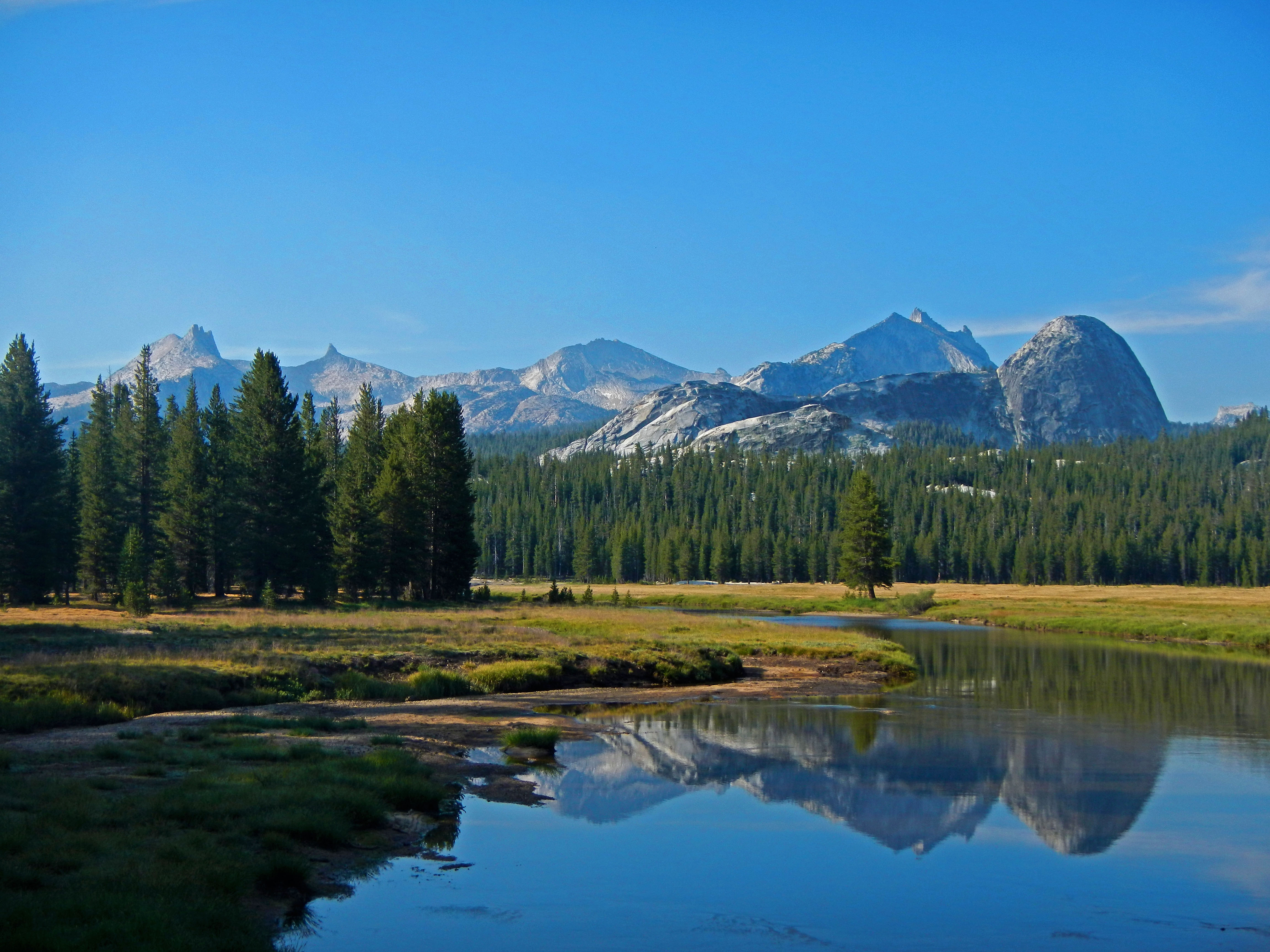 Bridalveil Creek Campground campground photo