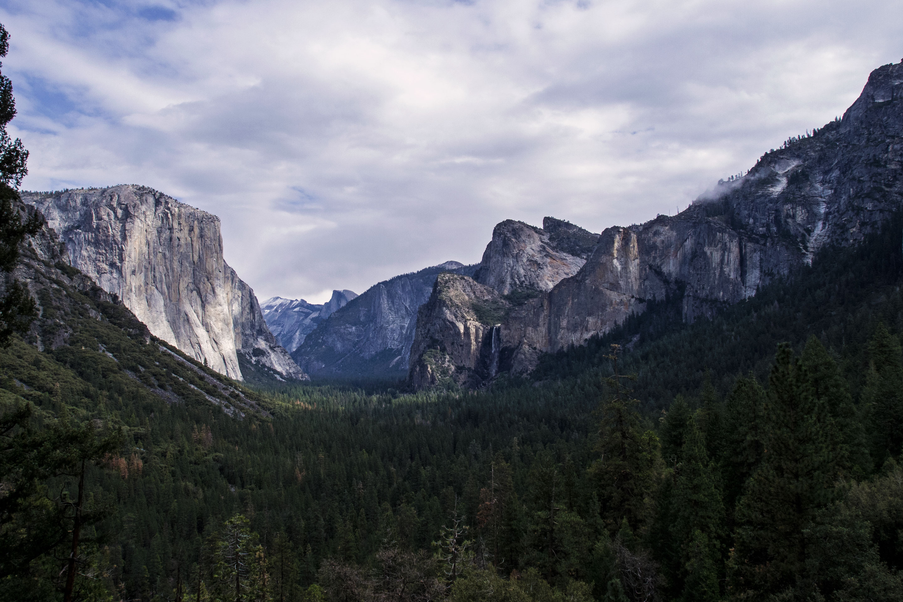 Bridalveil Creek Campground campground photo