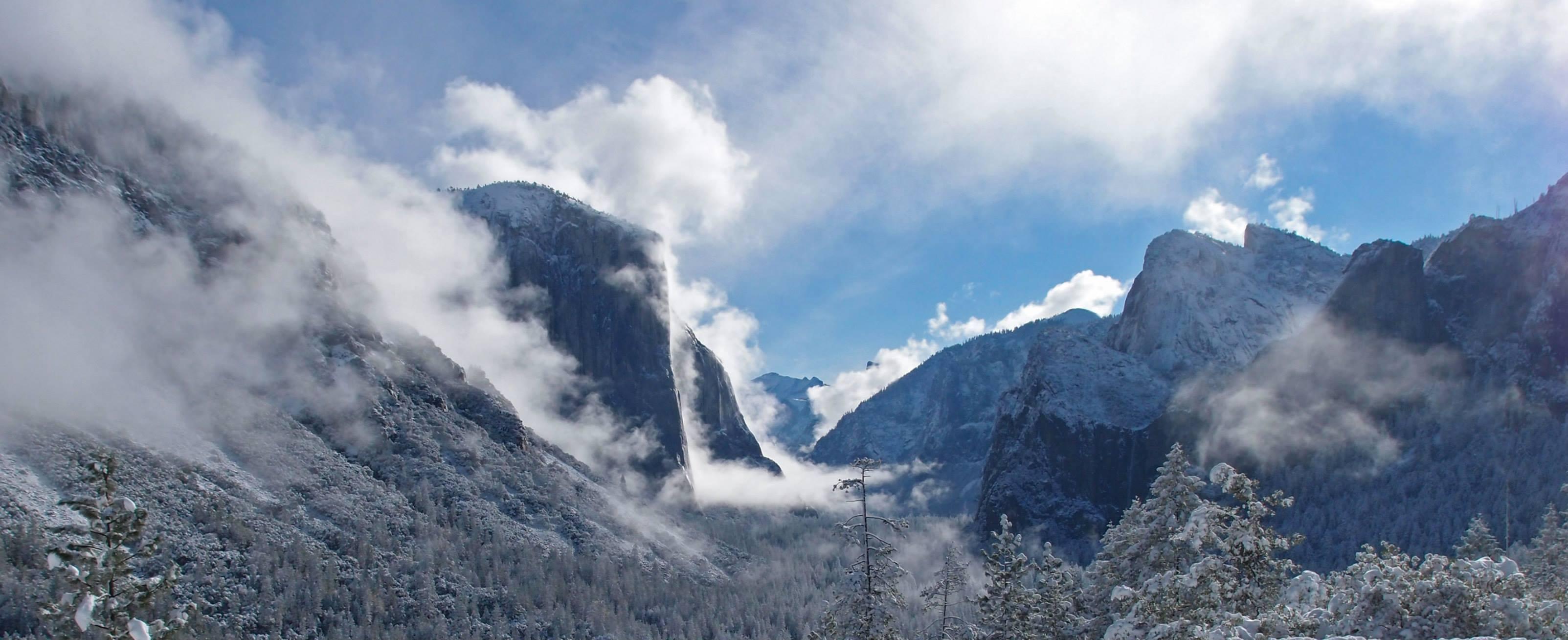 Bridalveil Creek Campground campground photo