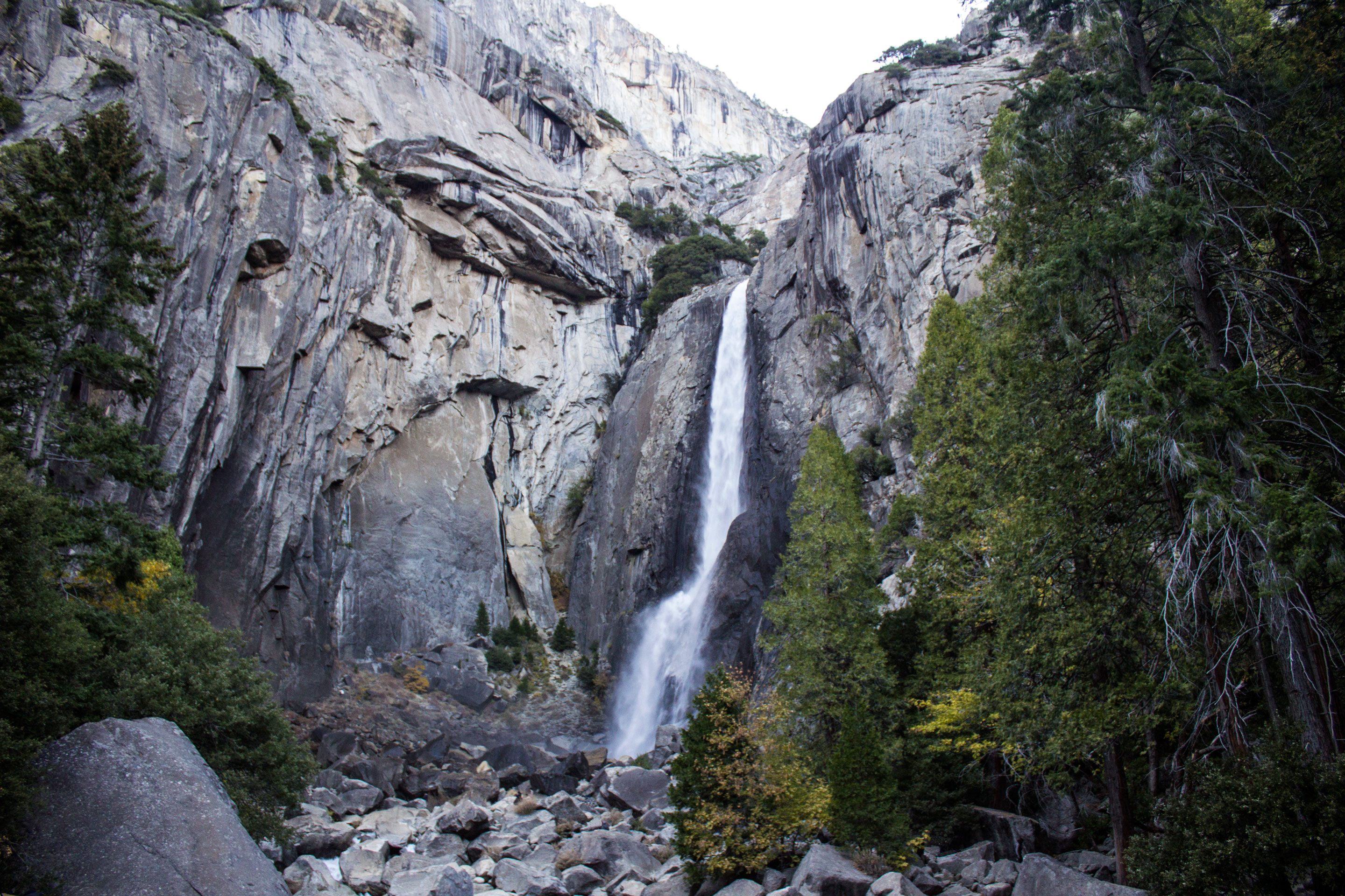Bridalveil Creek Campground campground photo