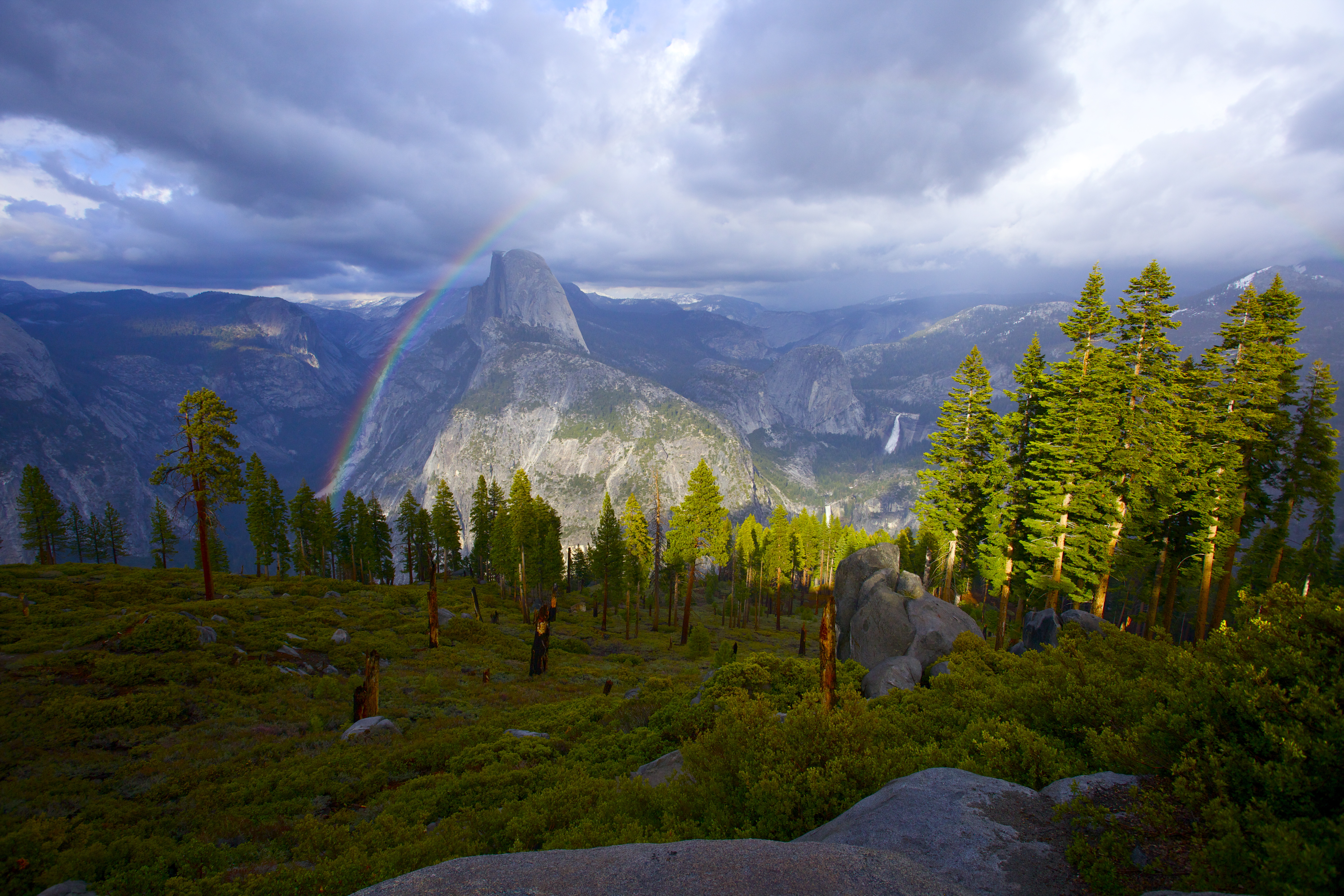 Bridalveil Creek Campground campground photo