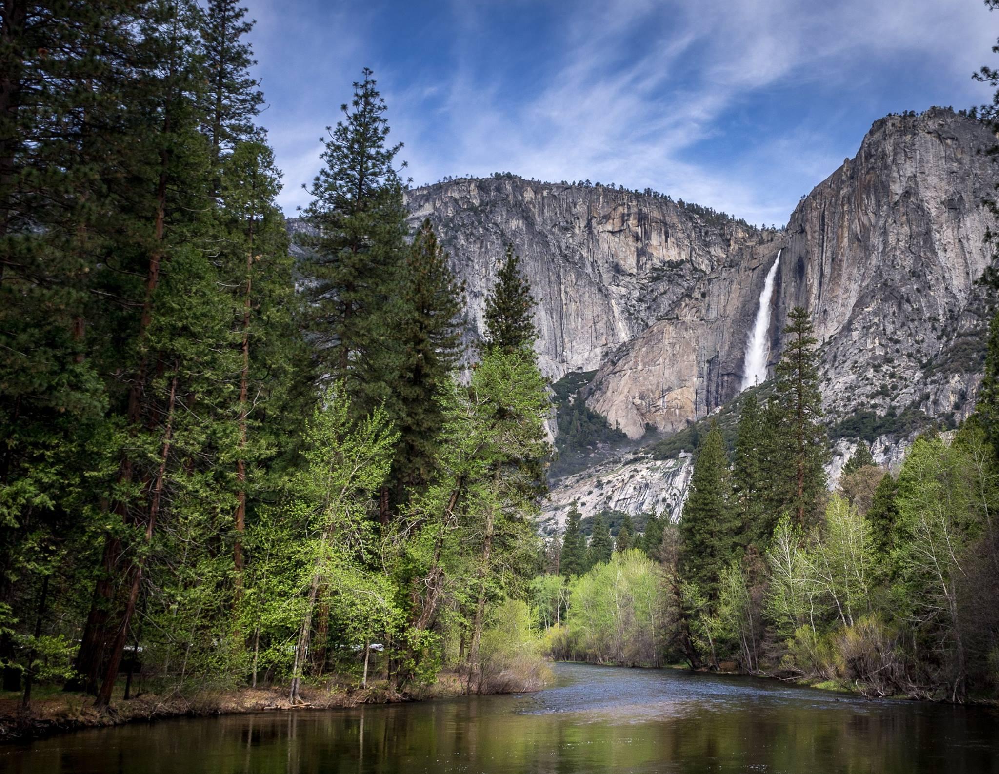Bridalveil Creek Campground campground photo