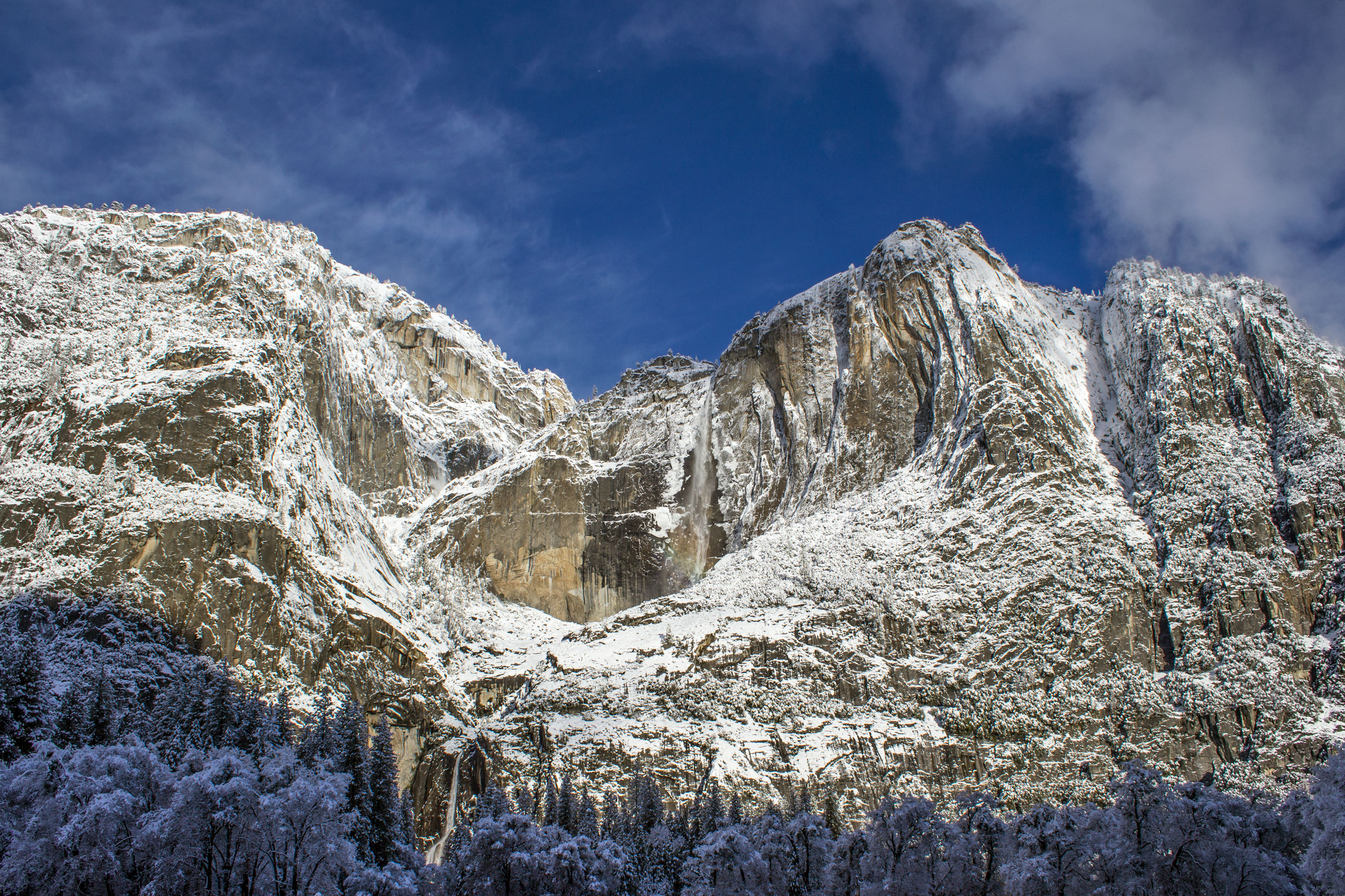 Bridalveil Creek Campground campground photo