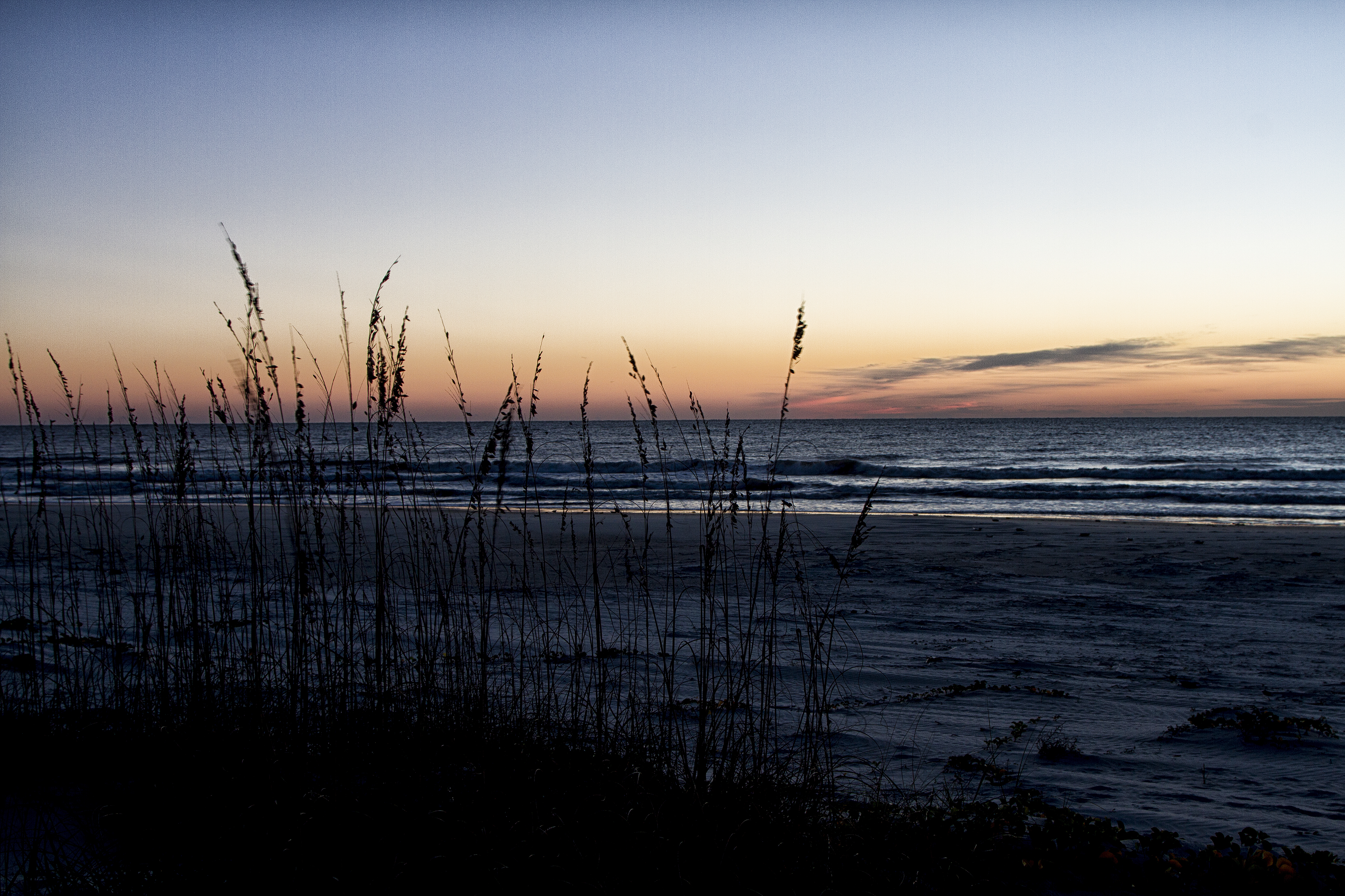 Brickhill Bluff Wilderness Campsite campground photo