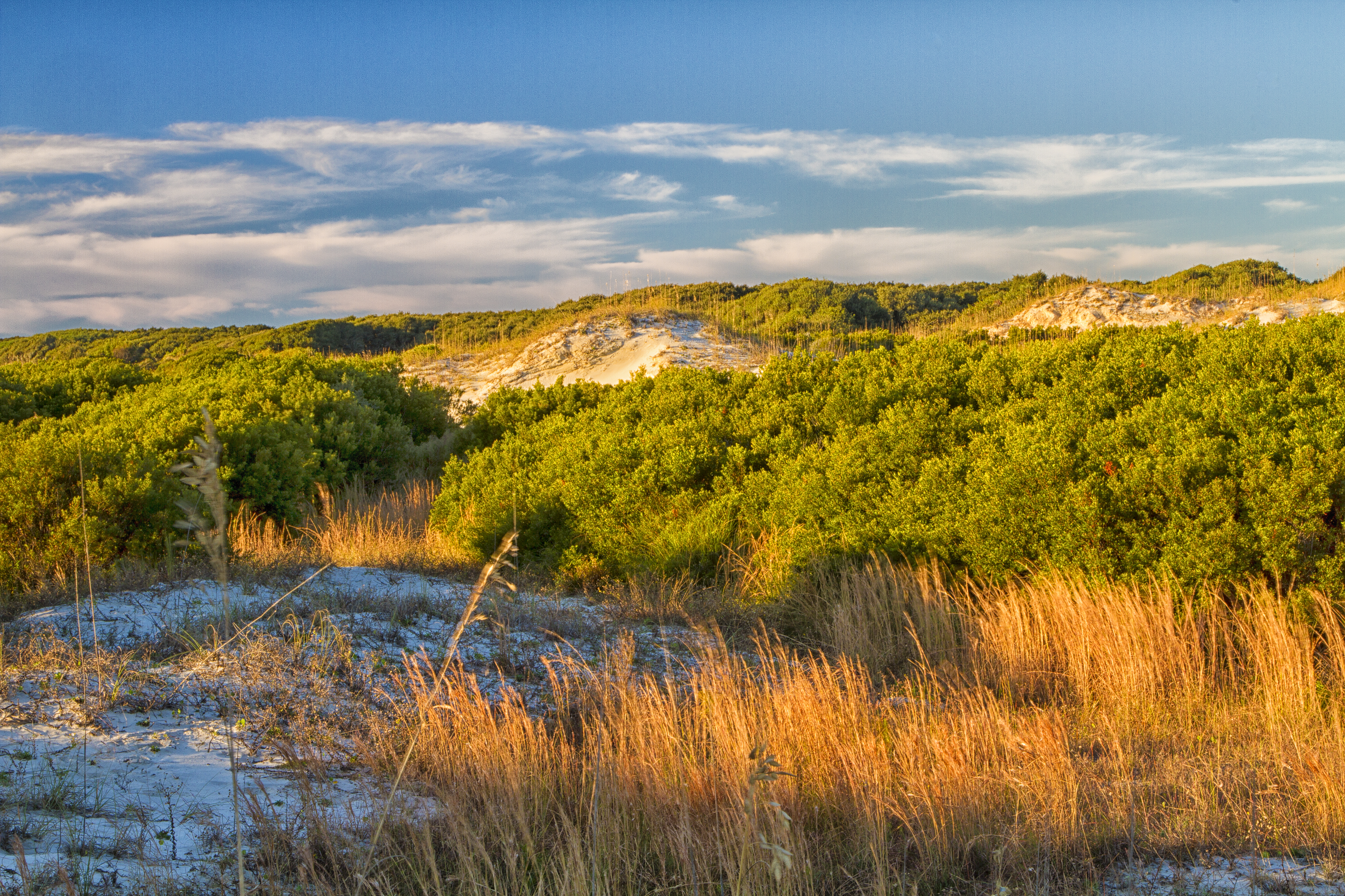Brickhill Bluff Wilderness Campsite campground photo