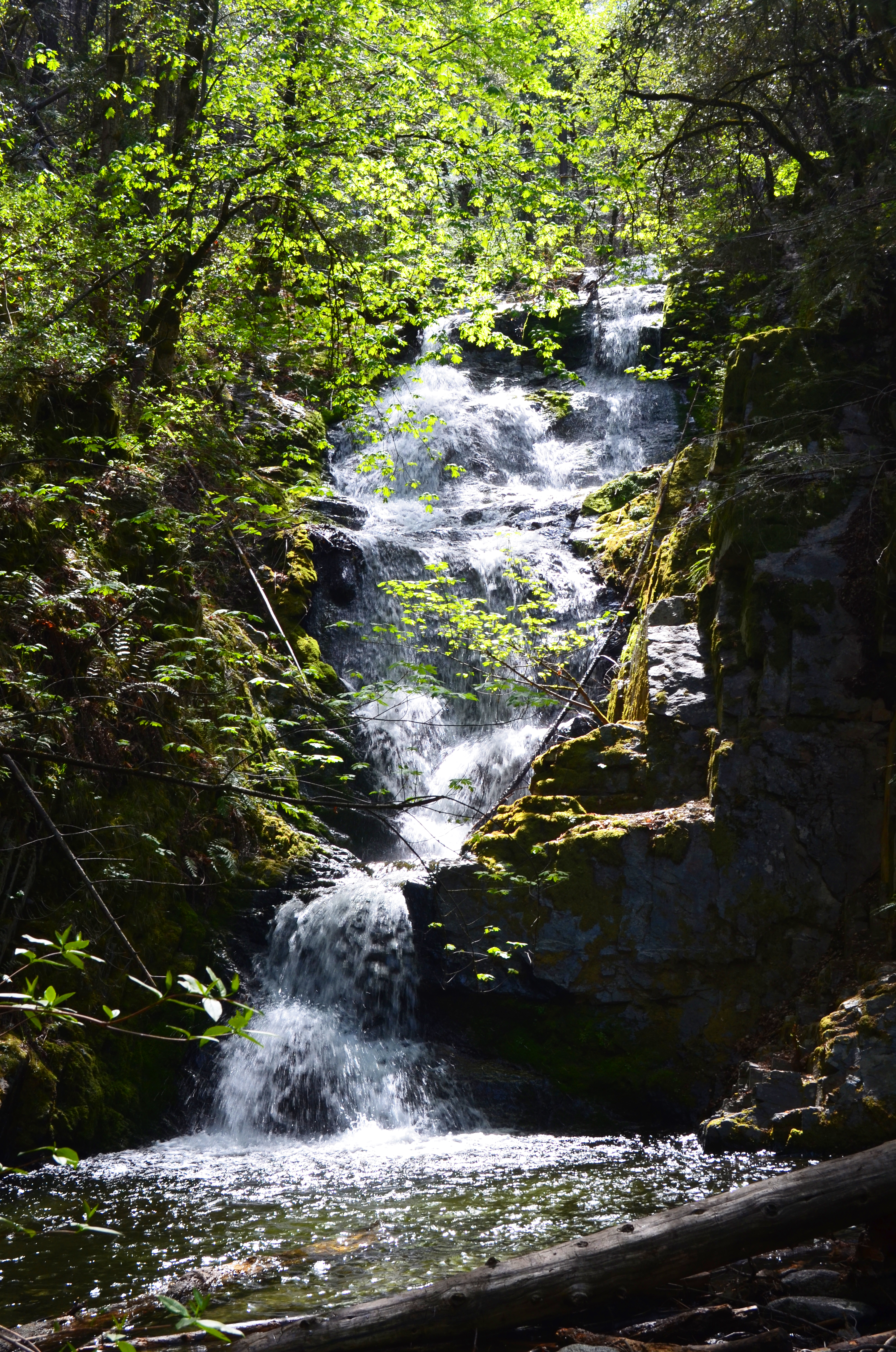 Brandy Creek campground photo