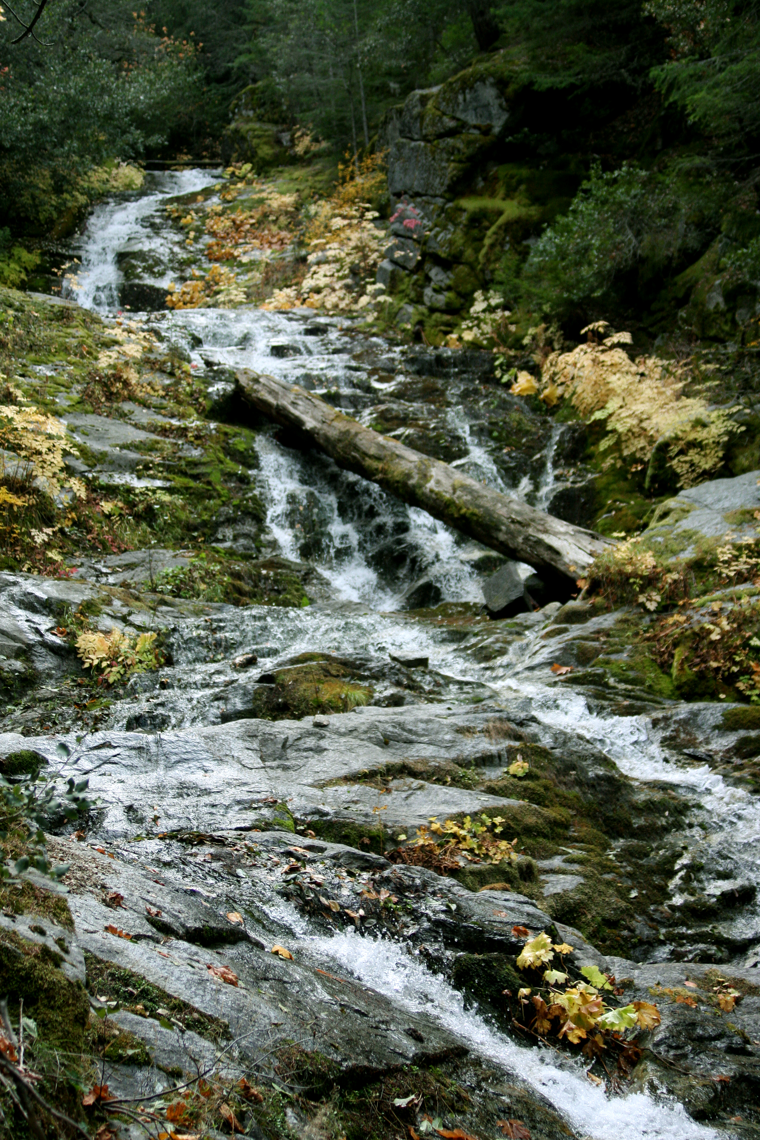 Brandy Creek campground photo