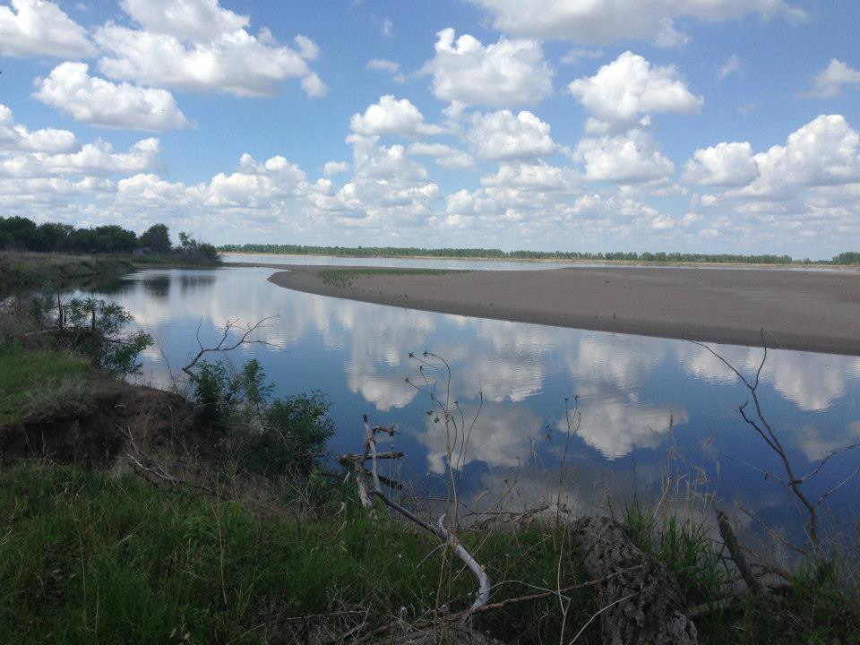 Bow Creek Primitive Camping campground photo