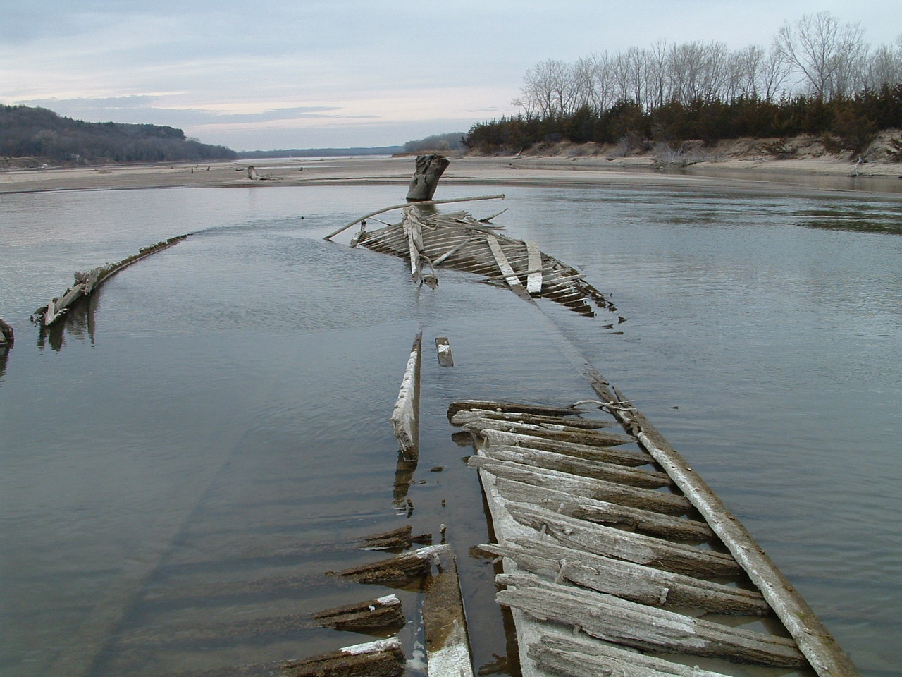 Bow Creek Primitive Camping campground photo
