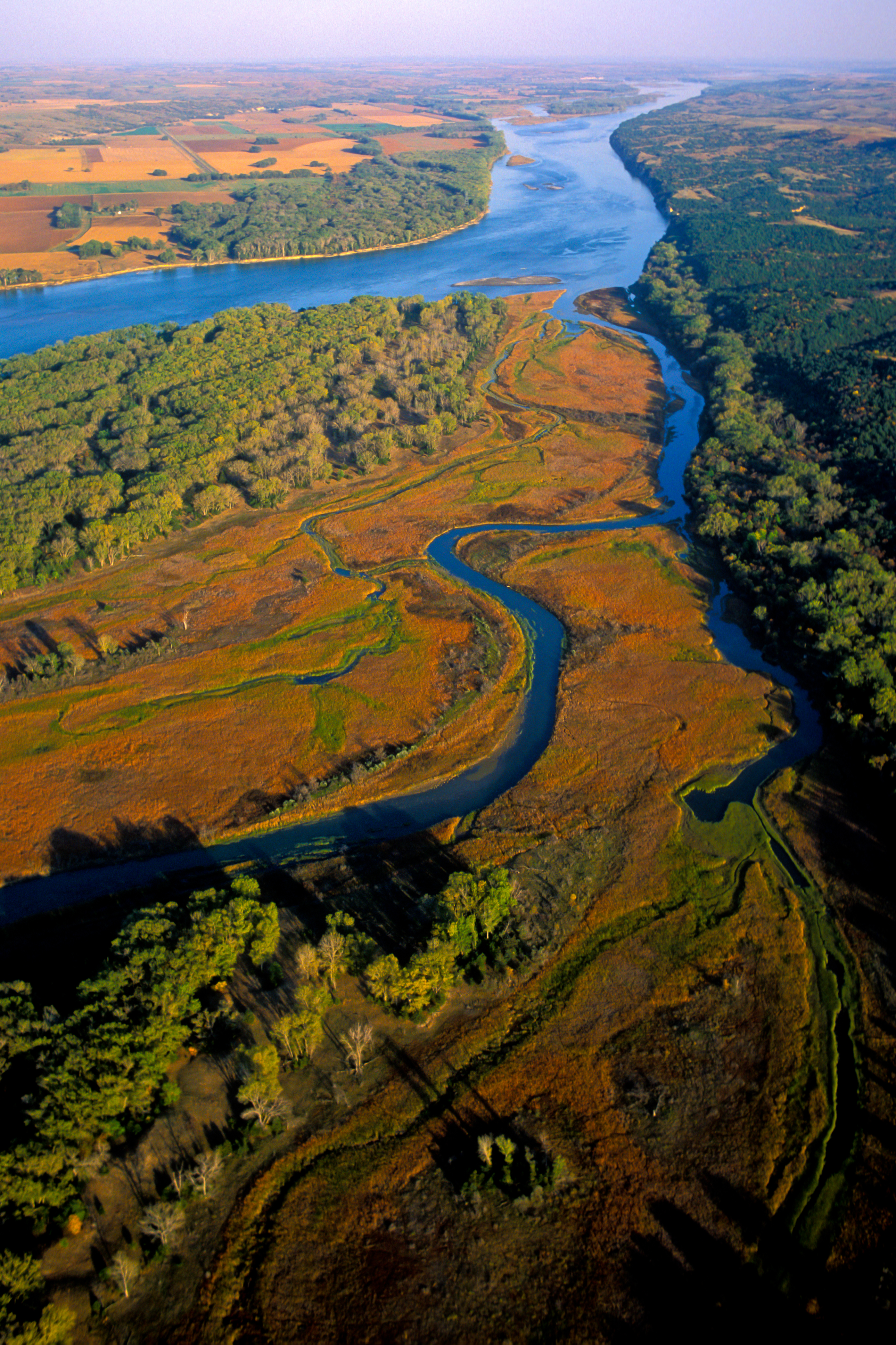 Bow Creek Primitive Camping campground photo