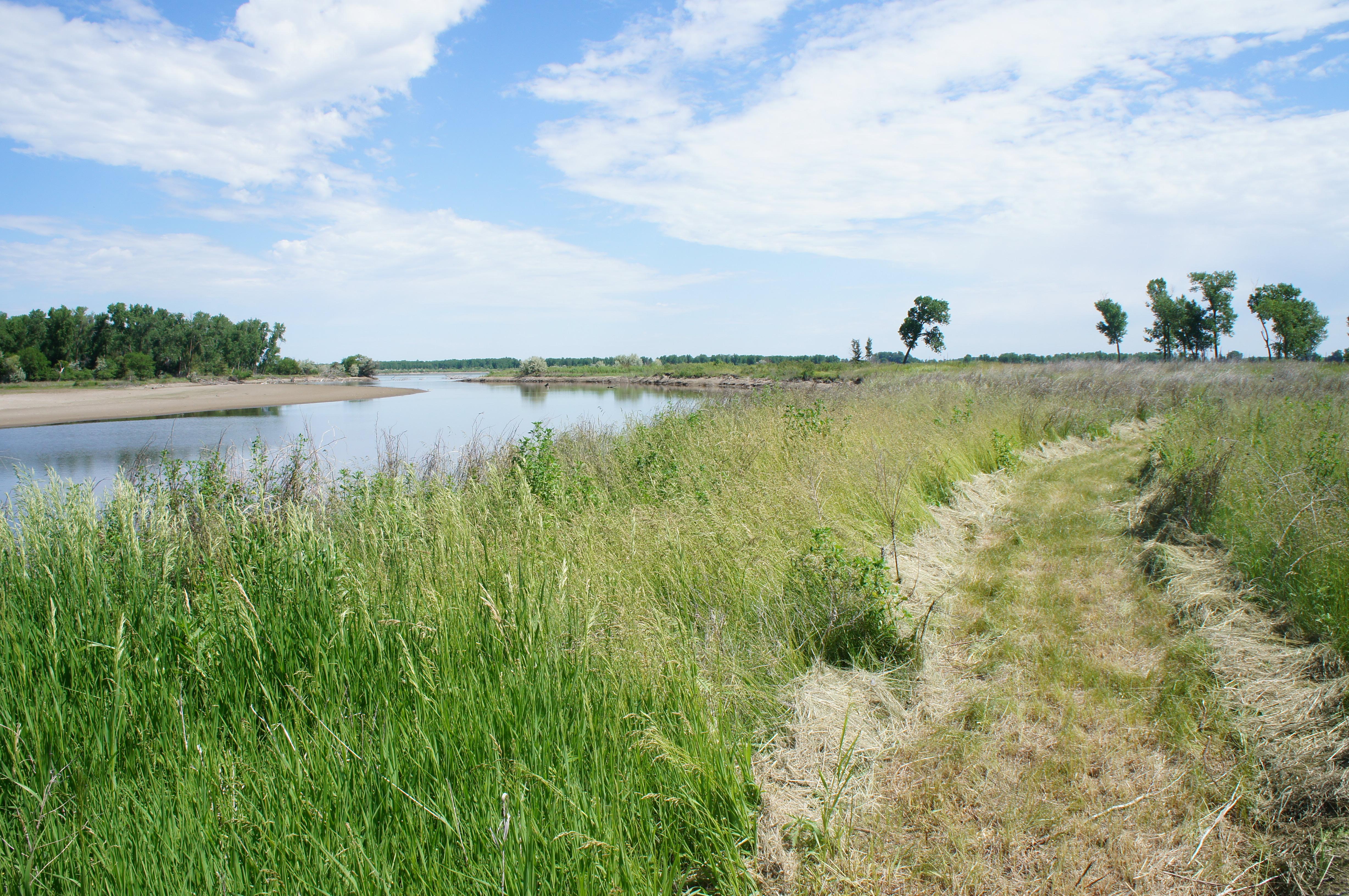 Bow Creek Primitive Camping campground photo