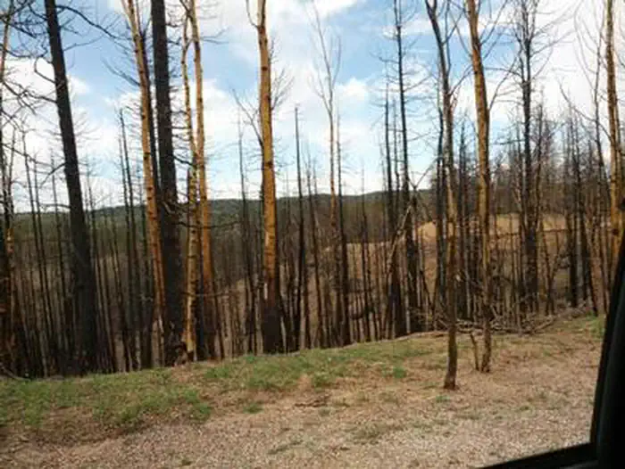 Campground scenery in Colorado