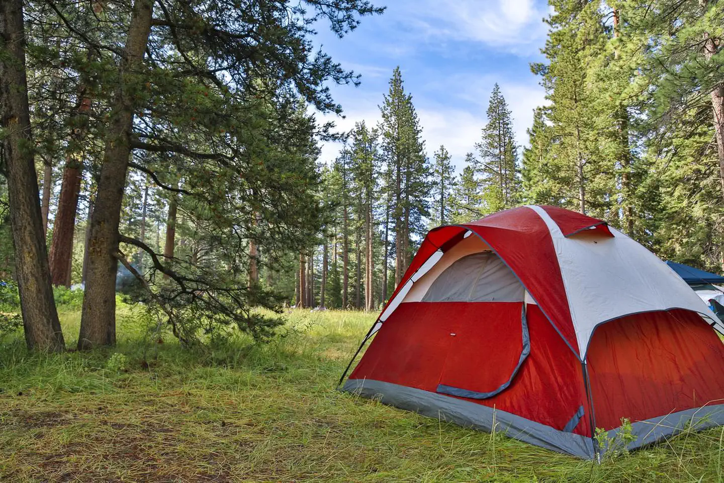 Badgers Den at Camp Richardson Resort campground photo