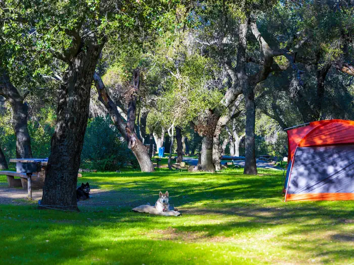 LOS PRIETOS campground photo