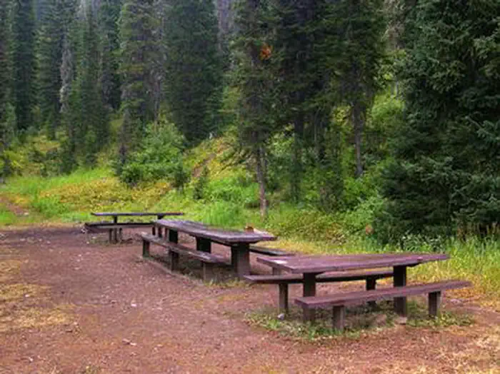 COTTONWOOD GROUP PICNIC SITE campground photo