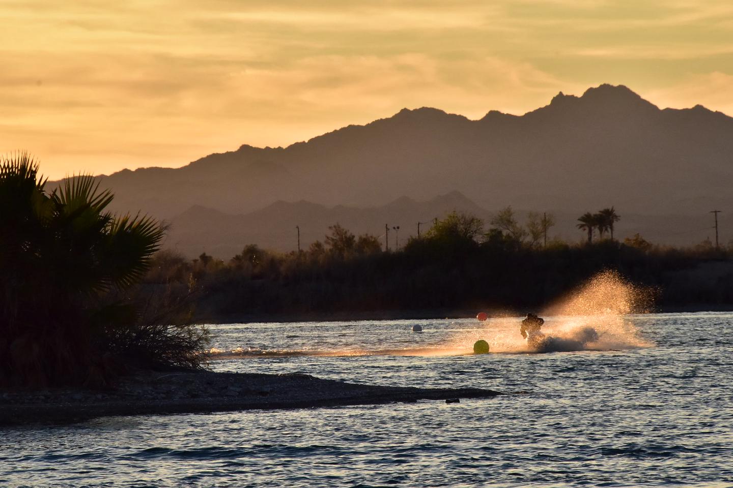 Lake Havasu Shoreline Sites campground photo