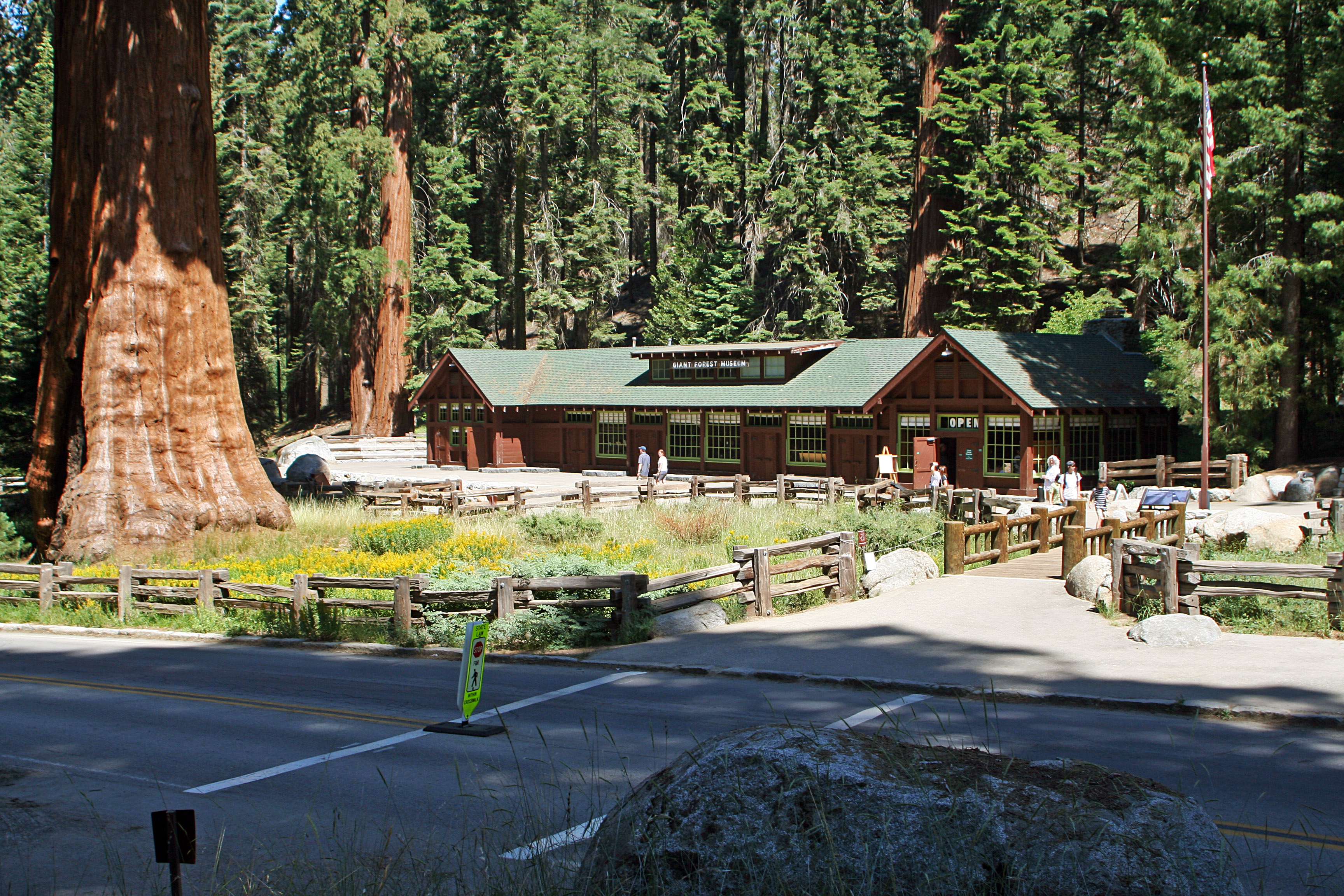 Buckeye Flat Campground campground photo