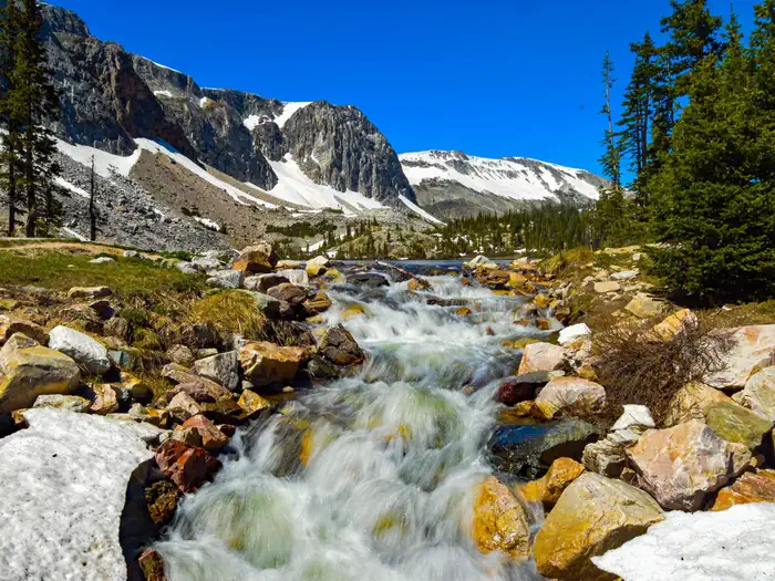 Medicine Bow Routt National Forest